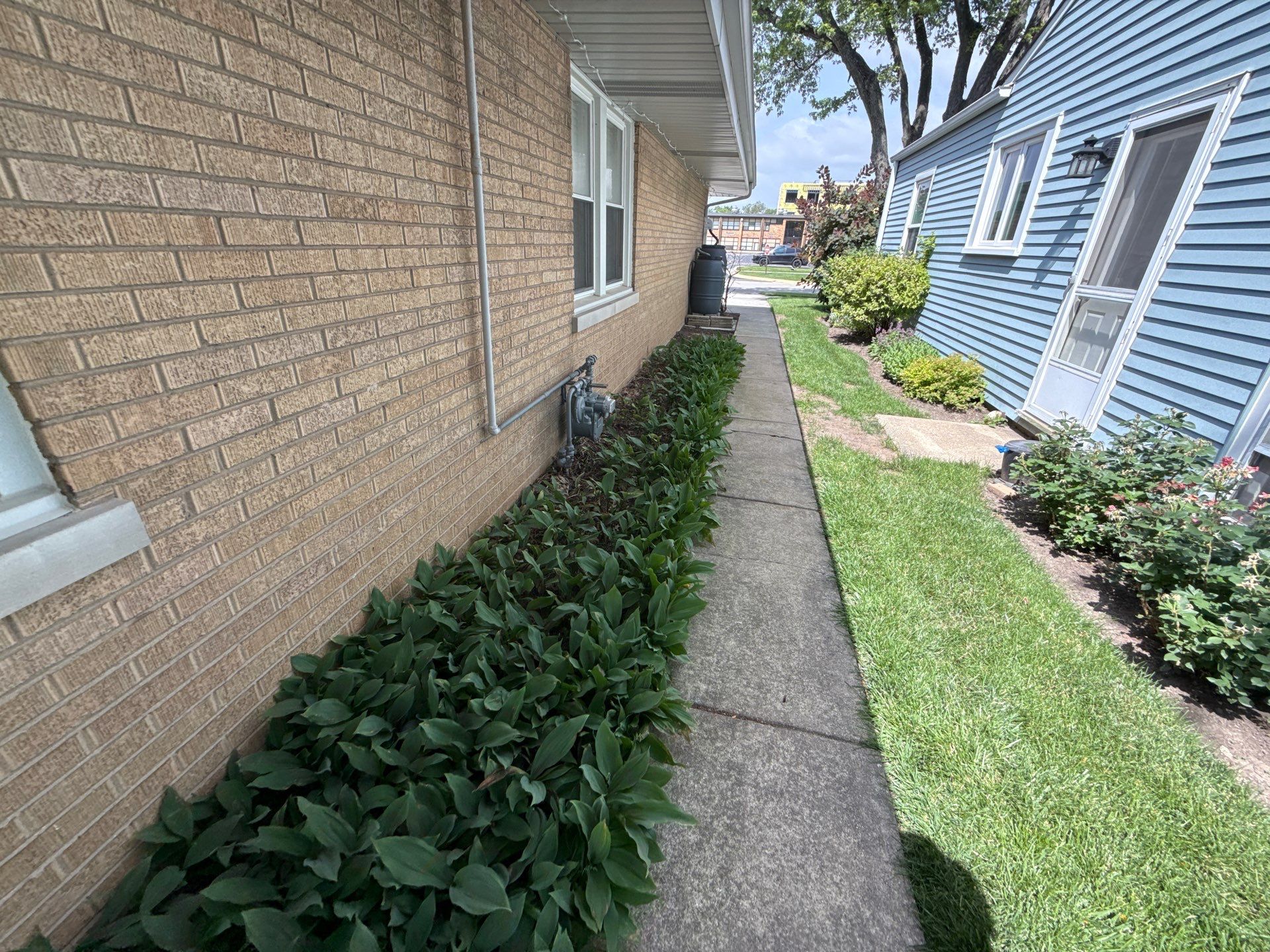 Cheris B. - Mount Prospect, IL by A&N 