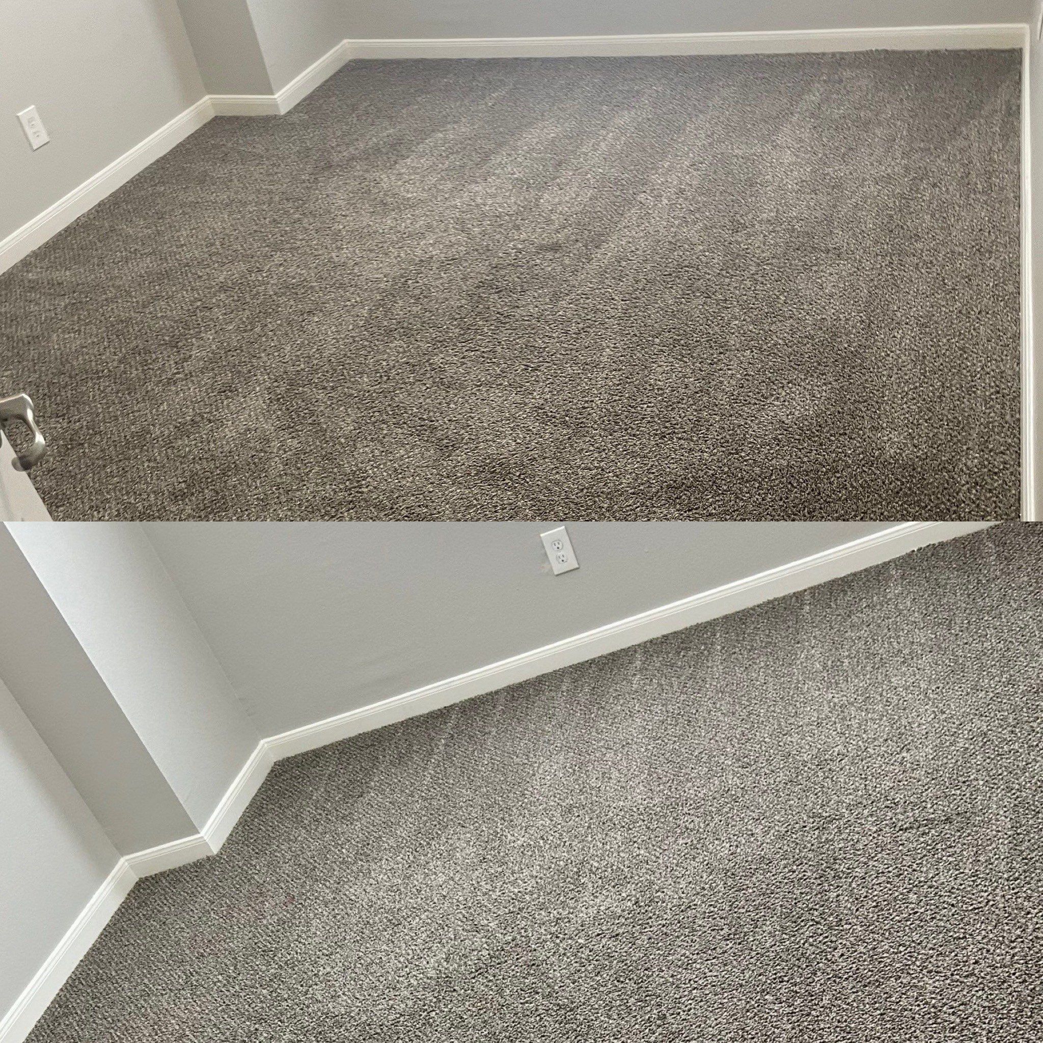 carpet in a room is being professionally cleaned by a carpet cleaning company based in san antonio