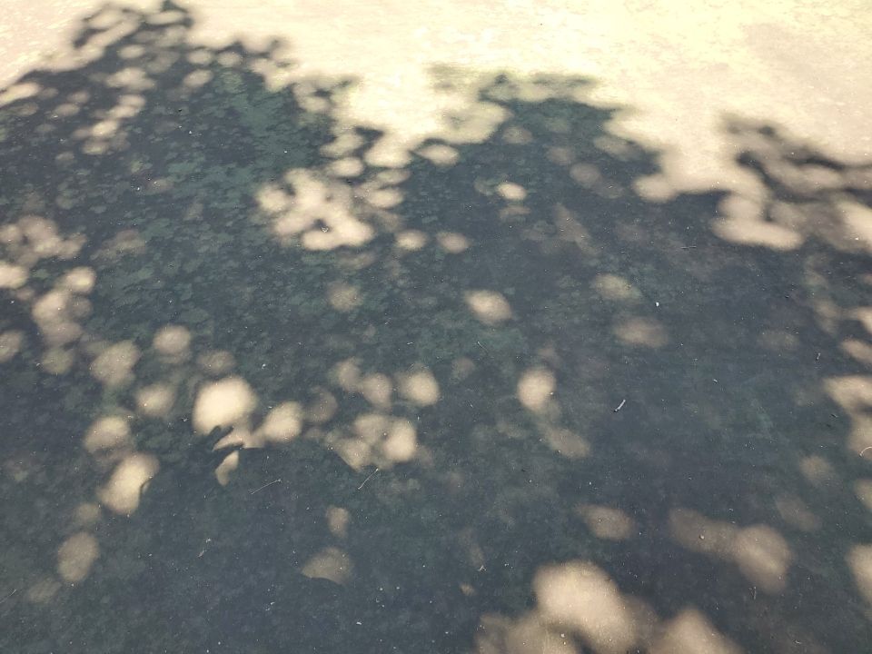 Deck, Patio, and Tennis Court Cleaning by Northern Power Washing LLC.