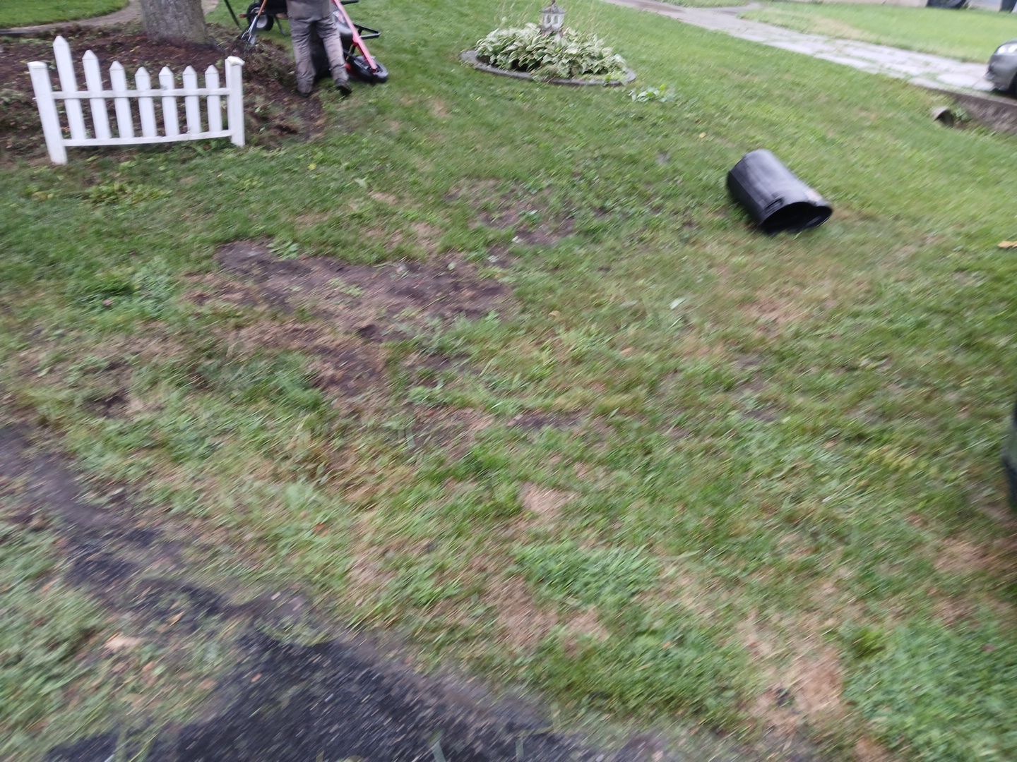 Steven L. - Park Ridge, IL by A&N