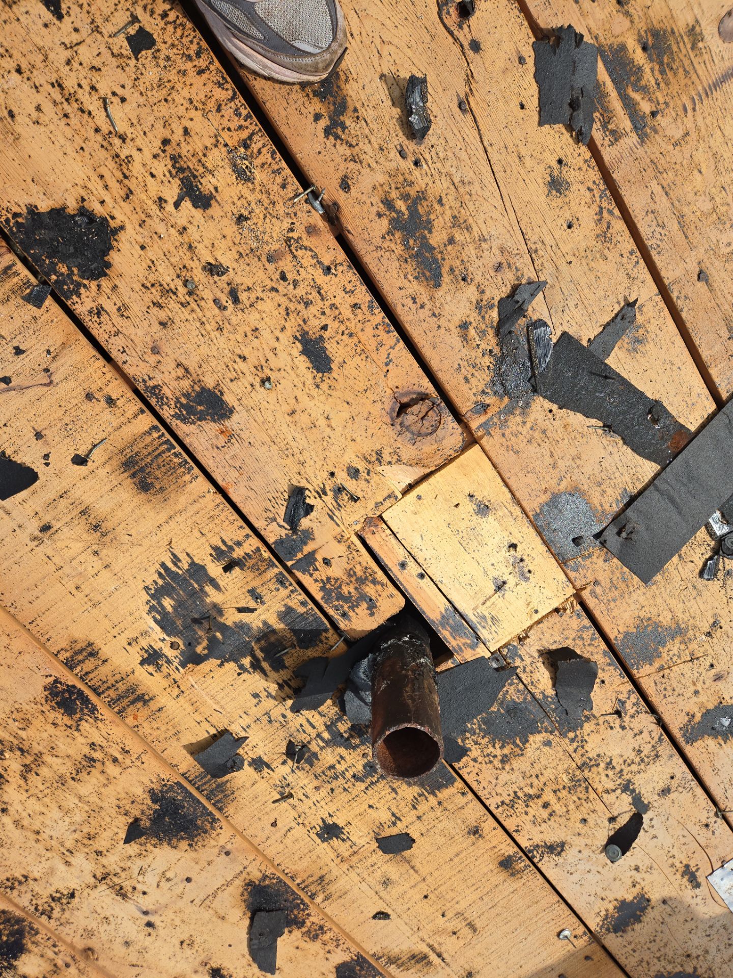 Project in Seminole 33772 by Mitchell Roofing Company LLC 
