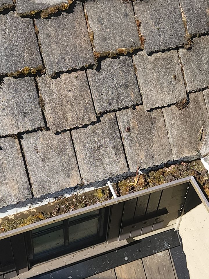 Moss Removal/ Treatment using Biocide by Willamette Outdoor Wash LLC