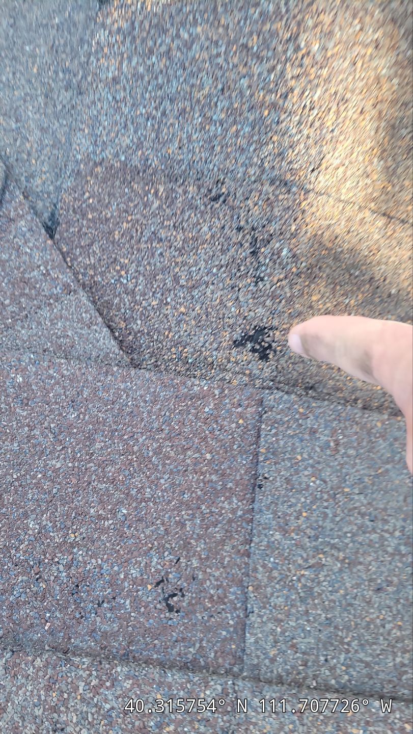 Roof Replacement After Hail Damage – Insurance Approved by ASAP Roofing & Exteriors