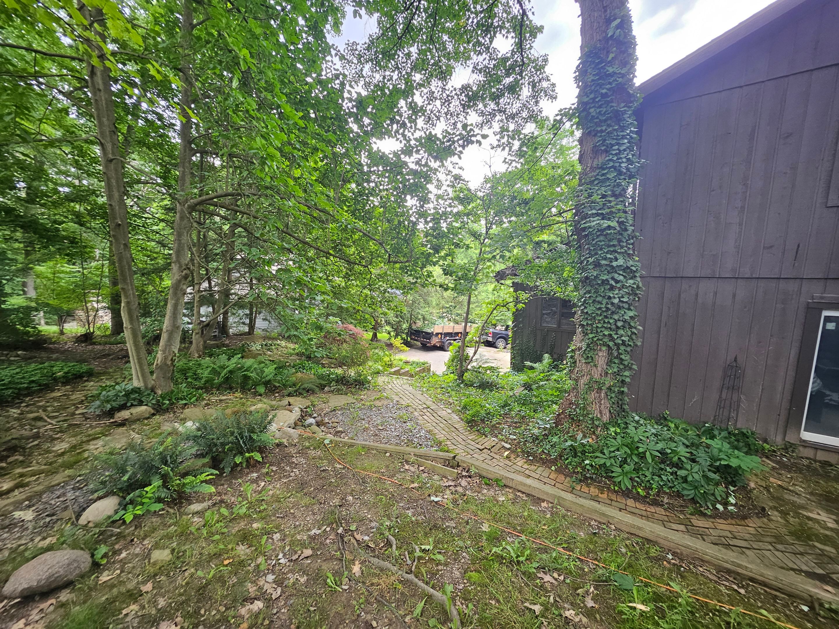 Tree Trimming using Tree Pruing by Mike Jones & Sons Tree Service LLC 