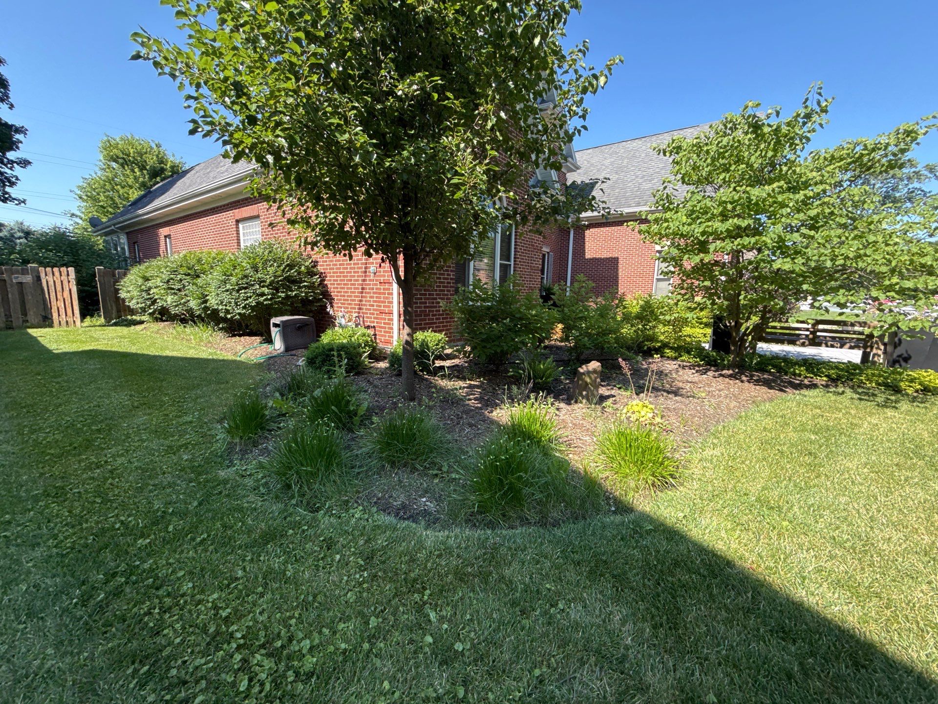 Rob M. - Arlington Heights, IL by A&N 