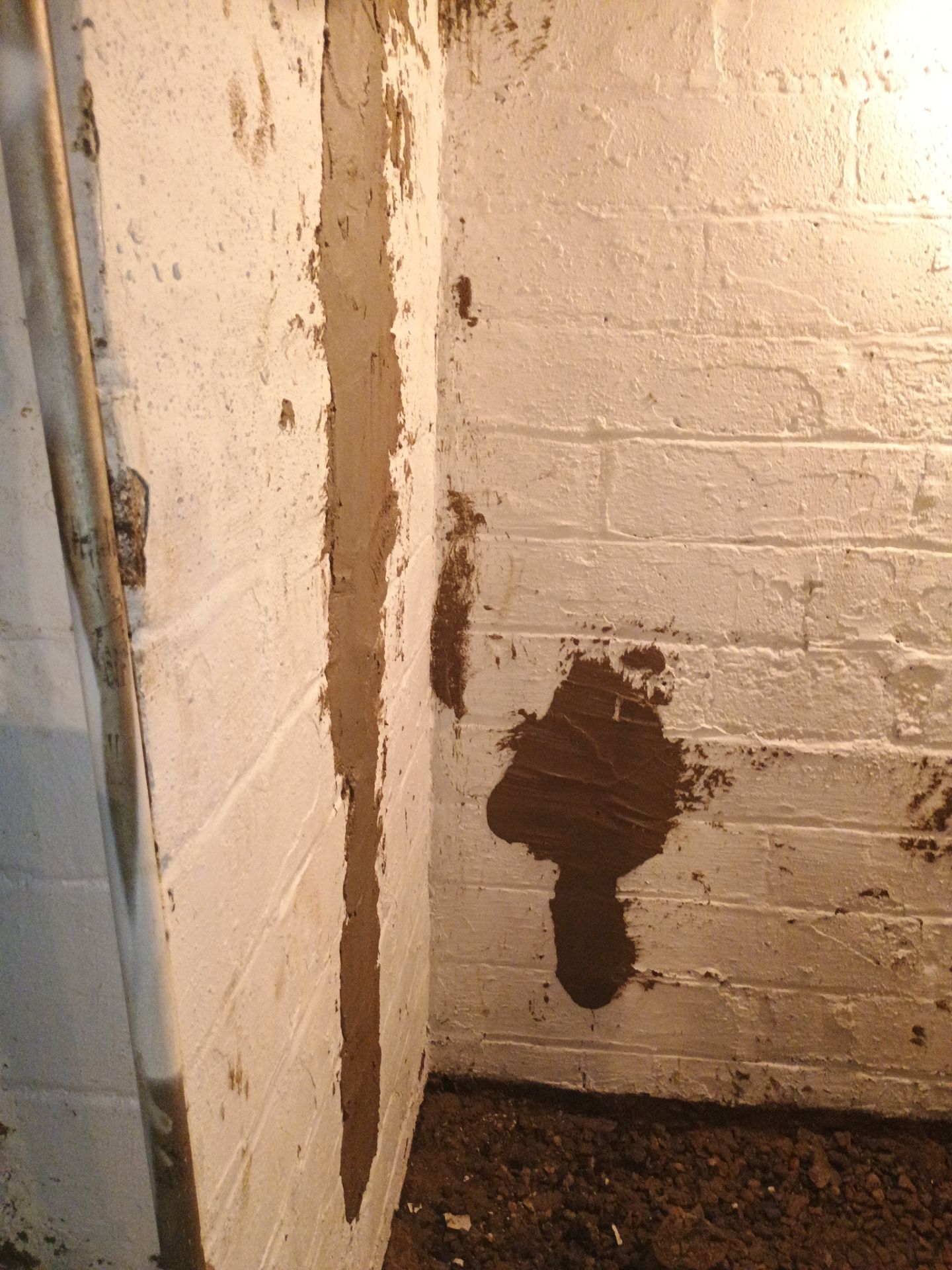 Updating Taylor's Waterproofing System by Waterproofing Northeast