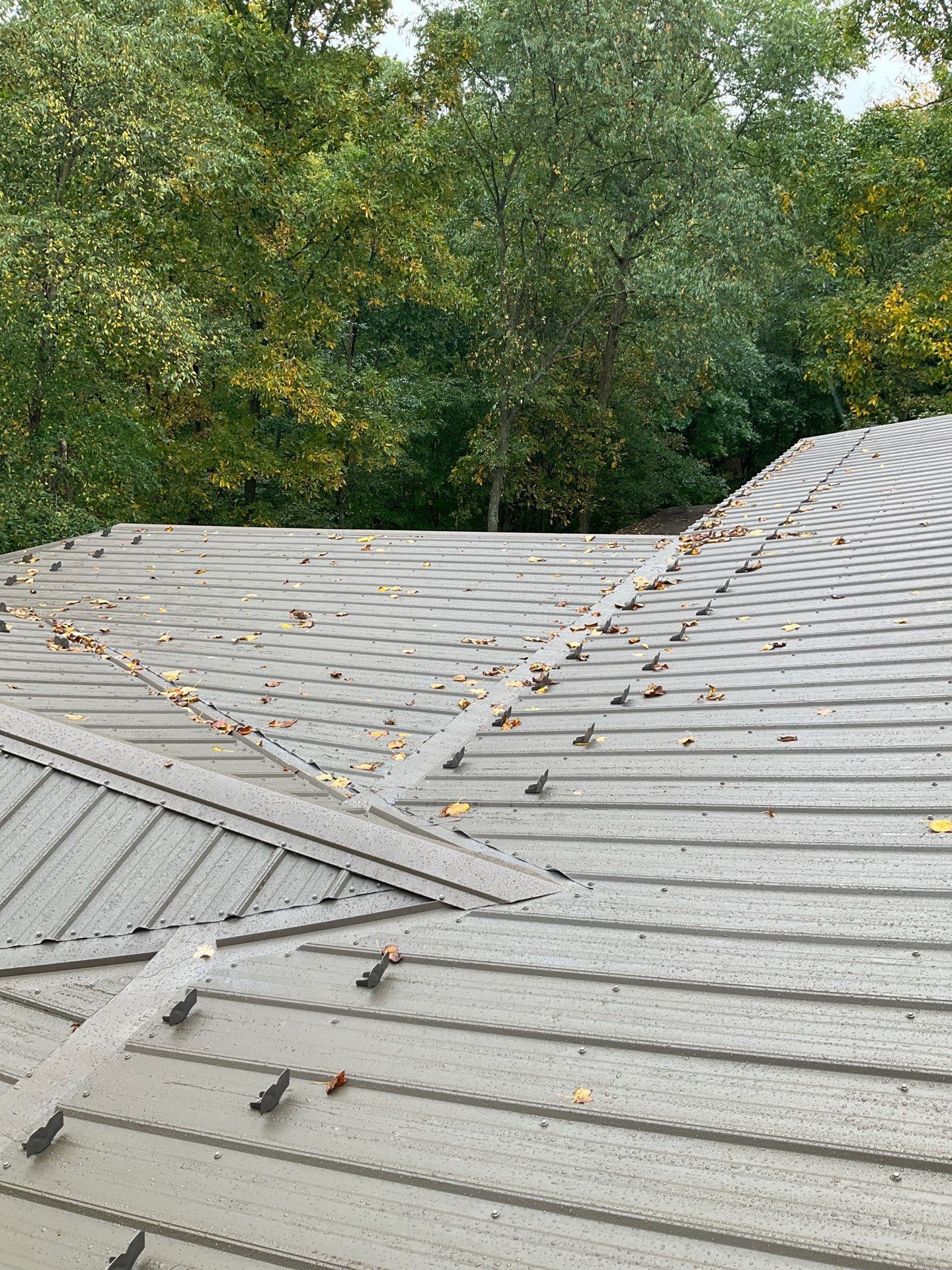 Log Cabin Standing Seam Metal Roof and Skylight Replacement by Esh Builders