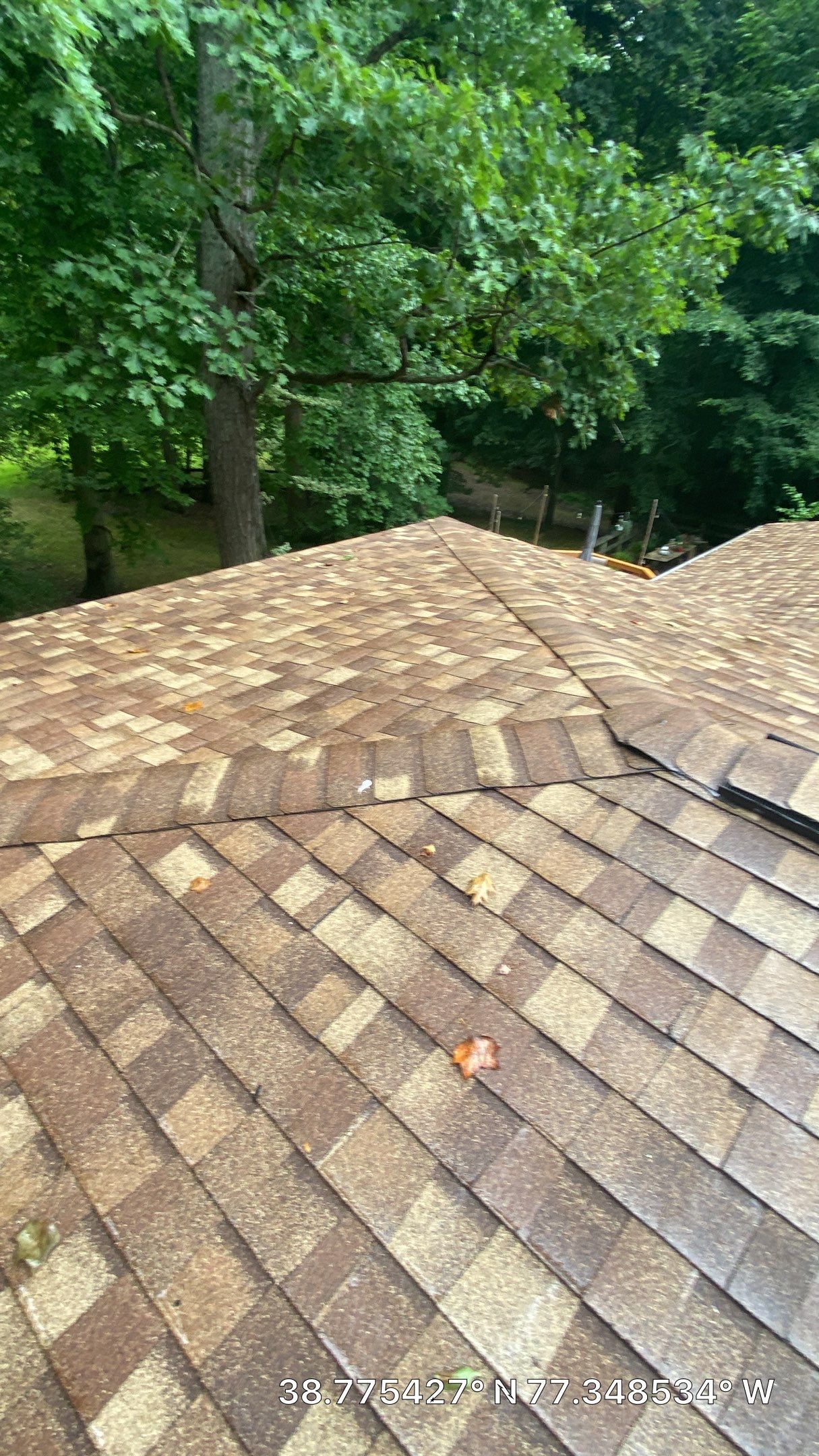 Fairfax Station: CertainTeed Landmark Pro Designer Shingles in Max Def Resawn Shake by RM Banning, Inc.