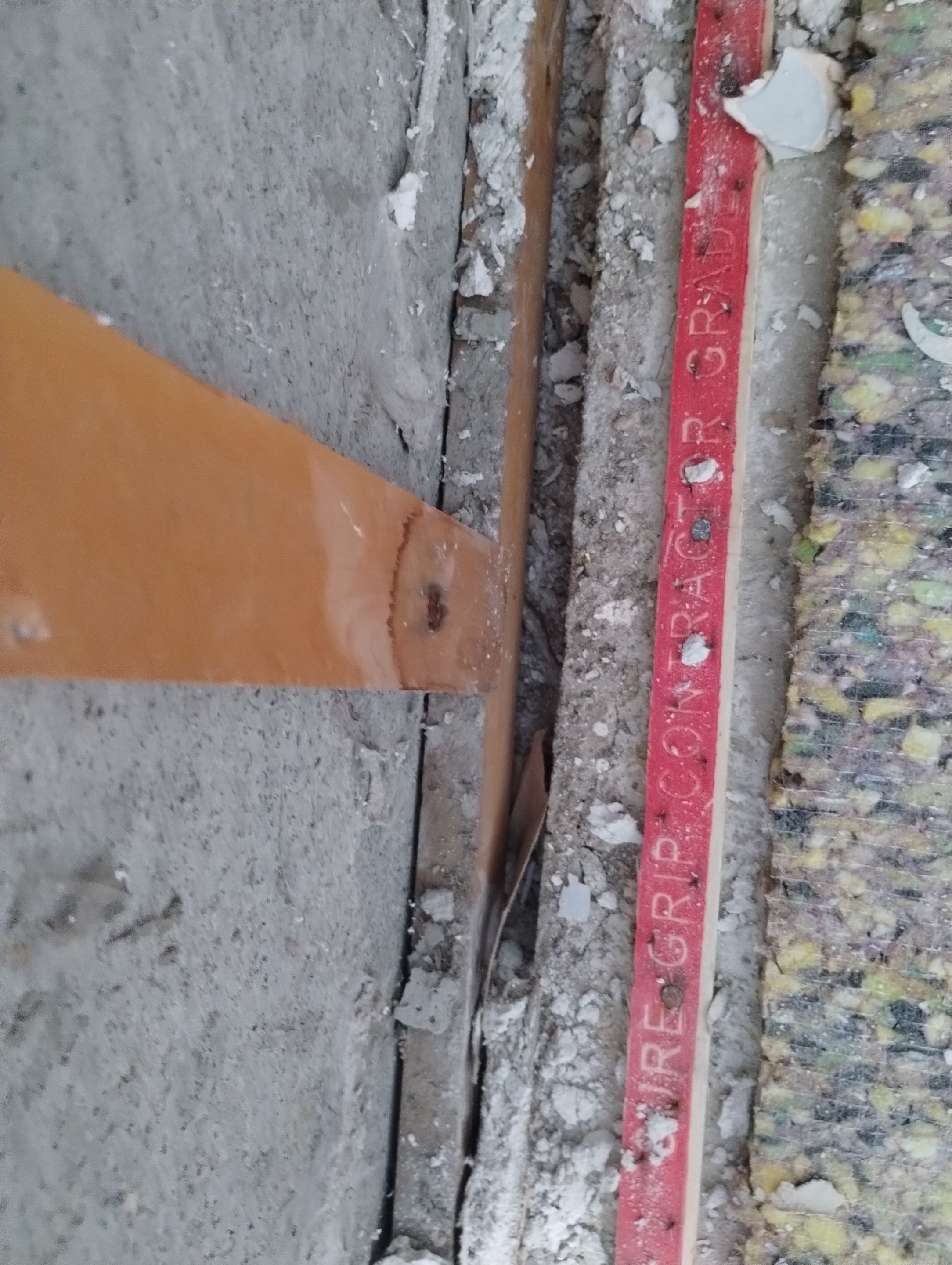 Mold Damage Repairs by Accountable Home Services