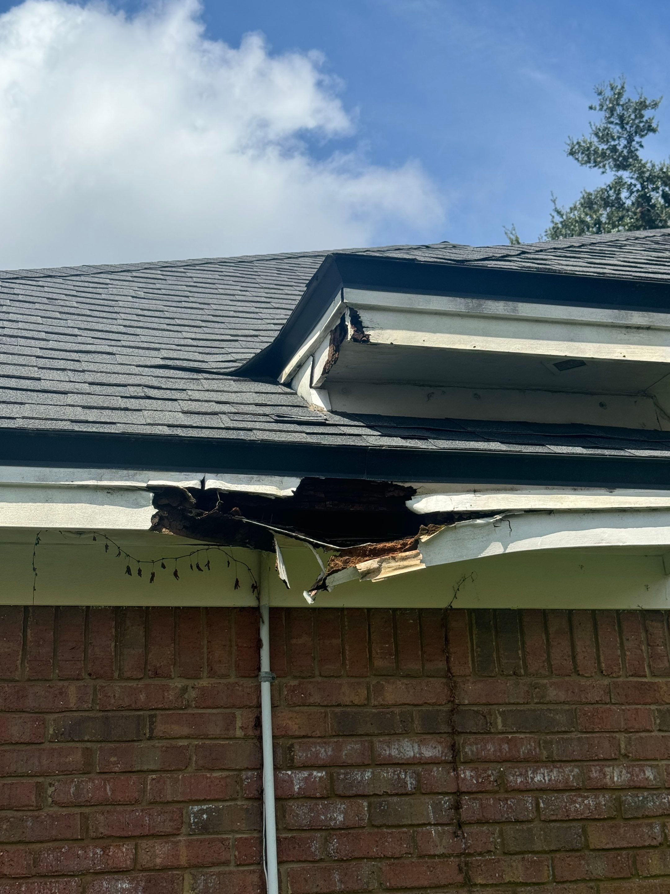 Project in Jacksonville by Colorwise Painting
