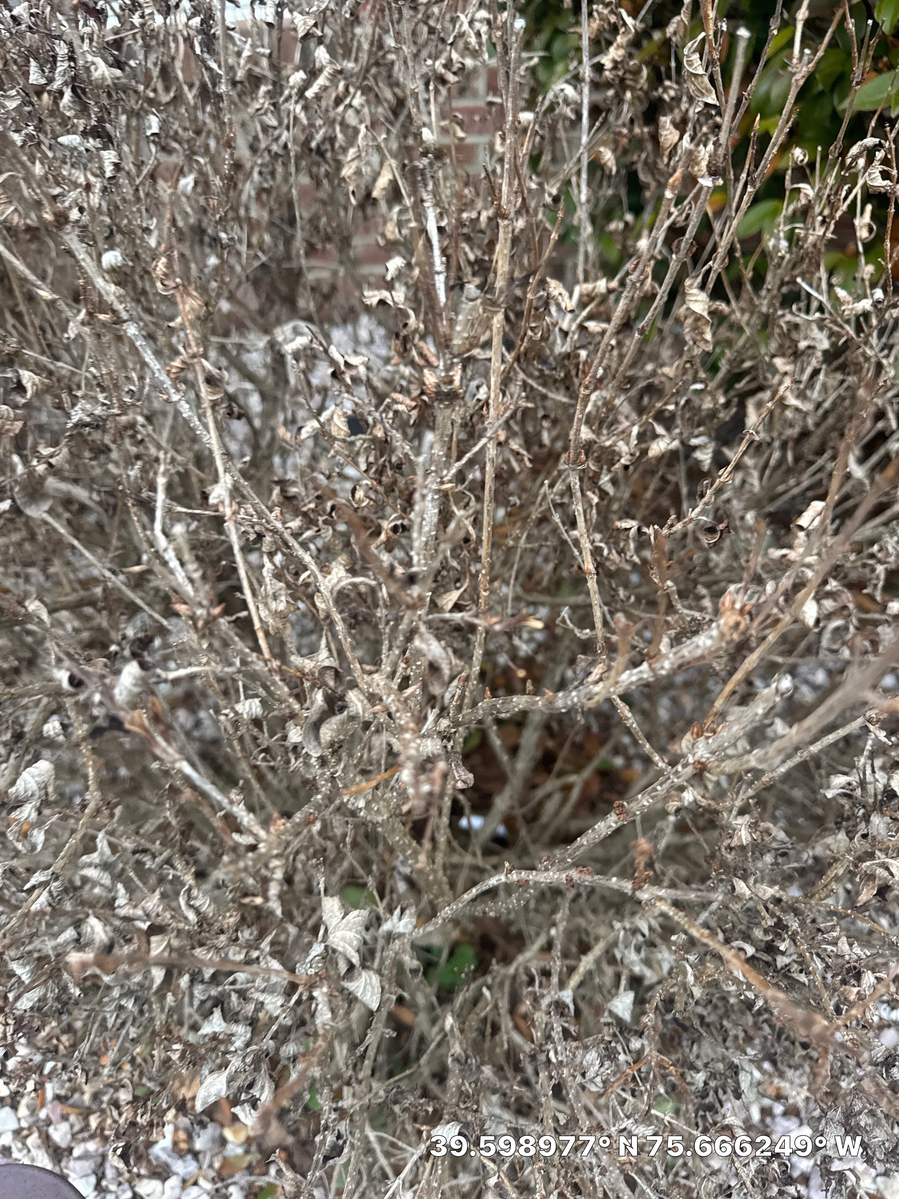 Project in Bear by Studio G Indoor Spaces & Outdoor Living