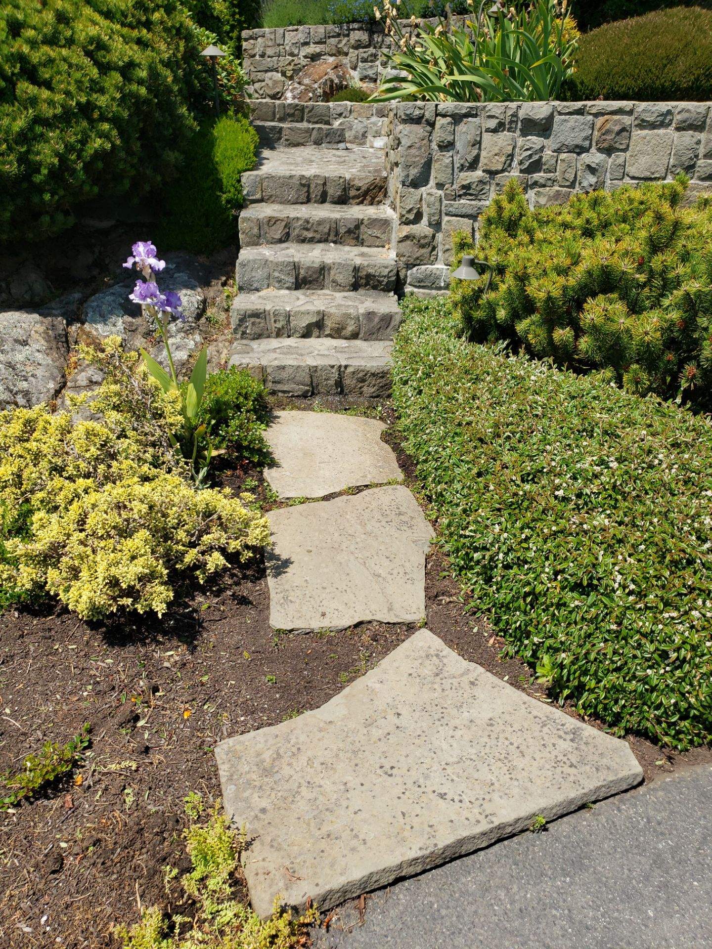 Oak Bay Residence by Habanero Garden and Exterior Care
