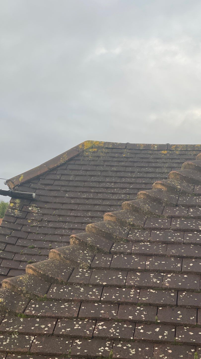 Roof Clean and Coping Stones using Honda 15lpm Low Pressure Washing Machine by Ges Exterior Cleaning ltd