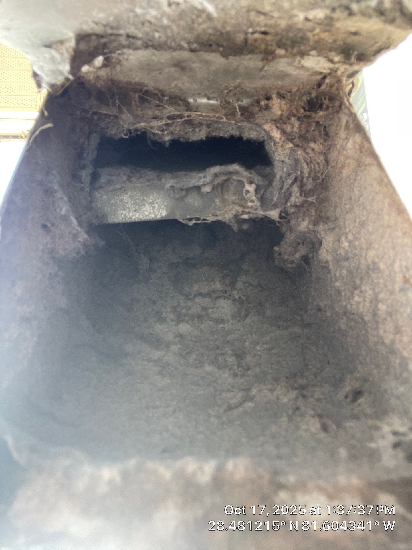 AIr Duct and Dryer Vent Cleaning in WInter Garden by Hygienic Air, Inc