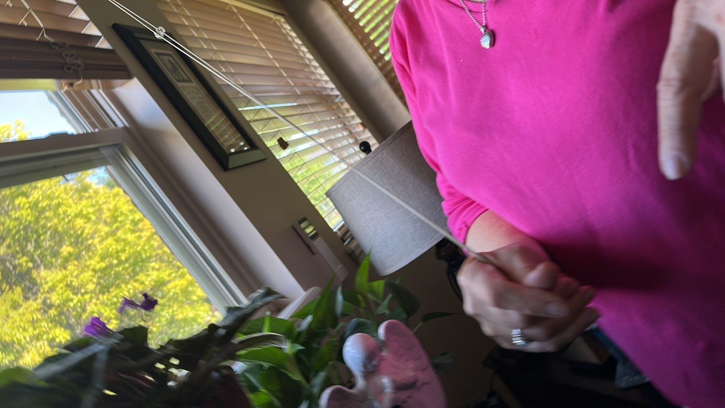 Roof and Windows! by Tamlin Roofing