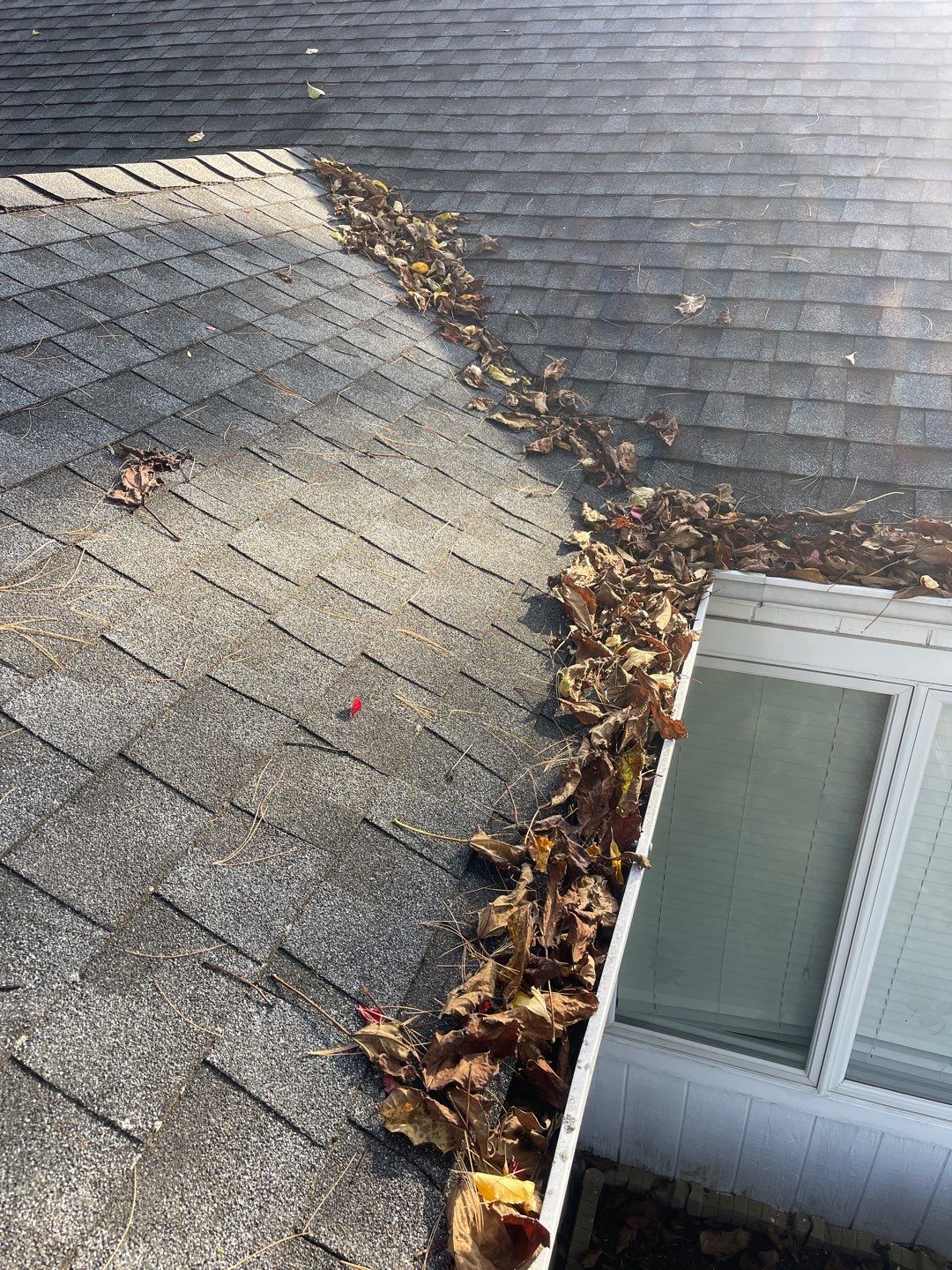 Gutter cleaning Hampton Bays by Above All Gutters 
