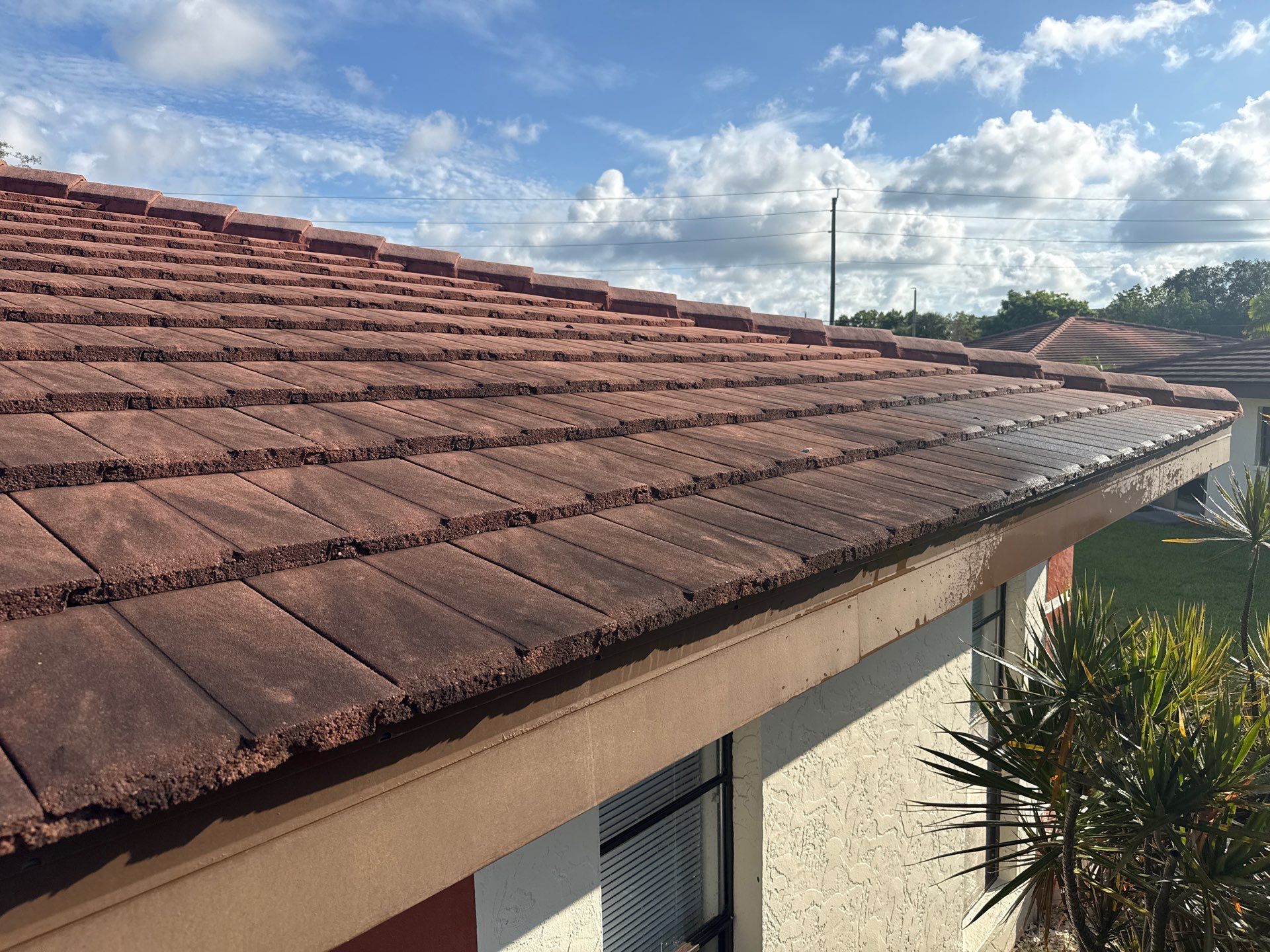 Tile Roof, Driveway & Patio Cleaning – Vivienda at Bradenton I by Sunshine AquaWash