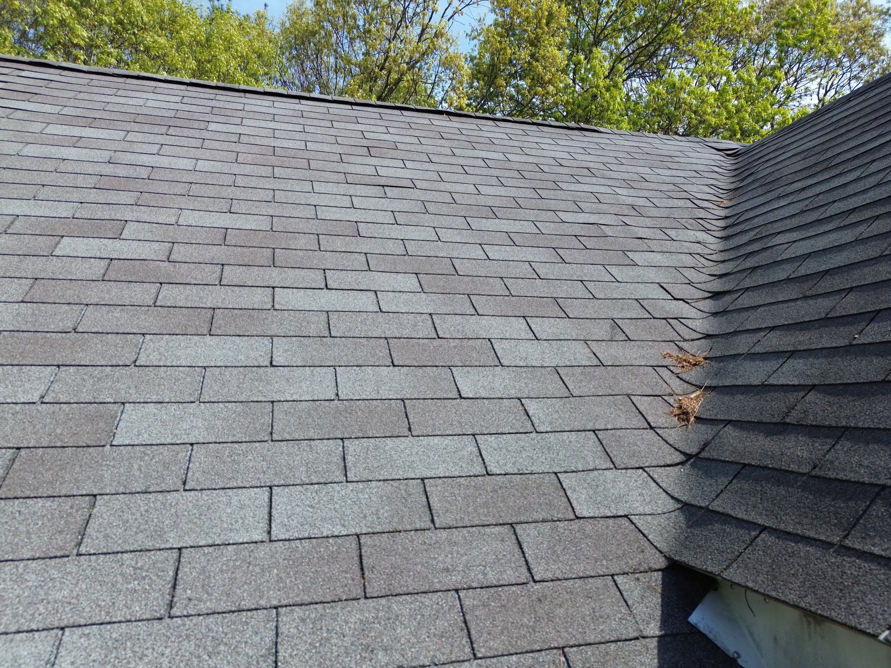 Siding, Roofing & Skylights | Haverhill by Mighty Dog Roofing of Greater Middlesex County