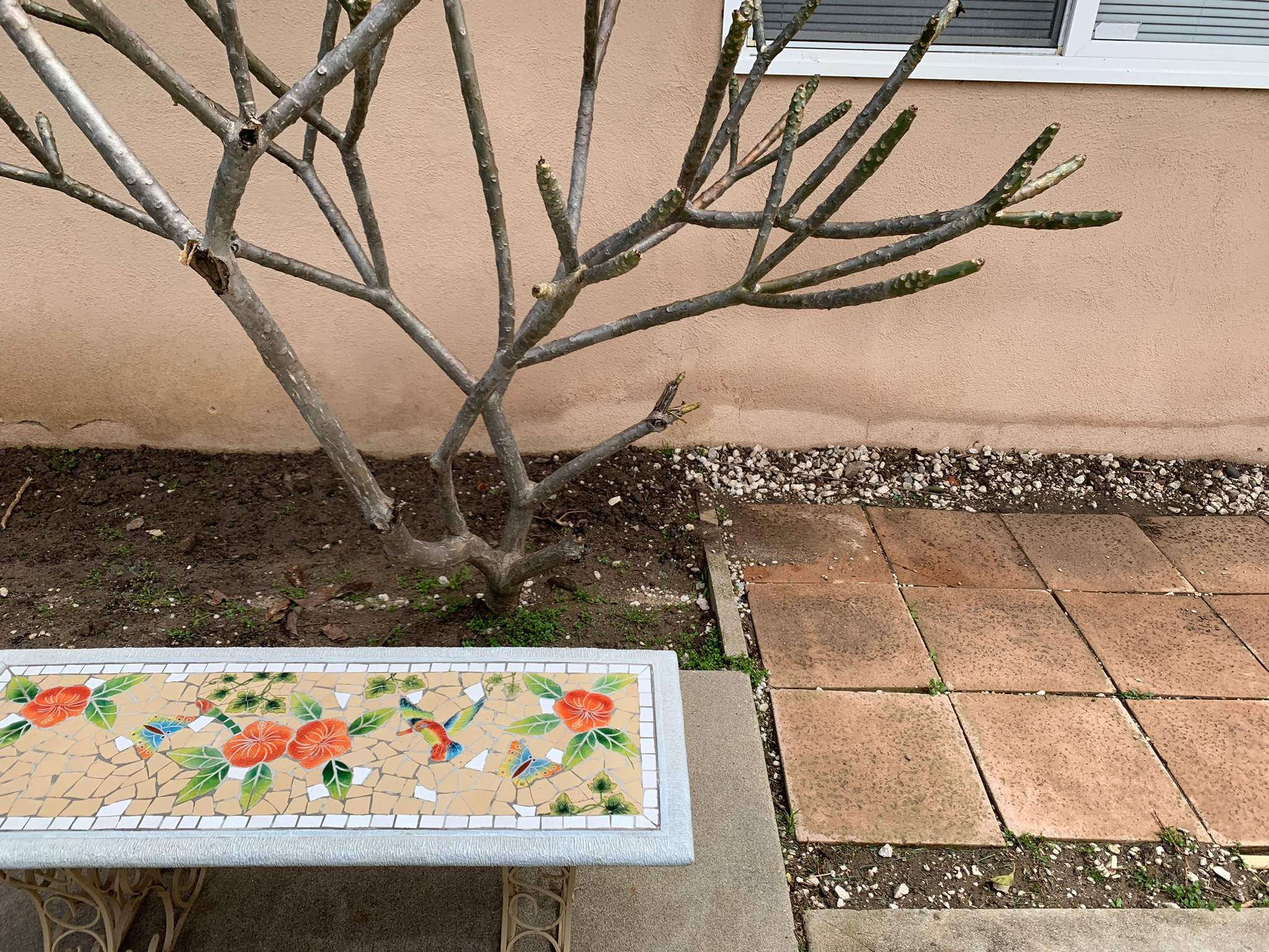 Pressure Wash using Sodium Hypochlorite and Solar Panel Cleaning in Huntington Beach by Property Cleaning Experts