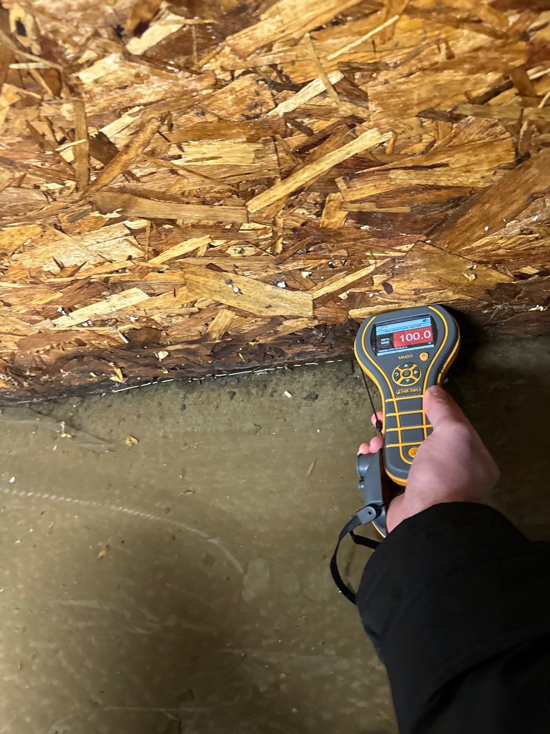 Project in Royal Oak by EzDry Water Mitigation & Property Restoration