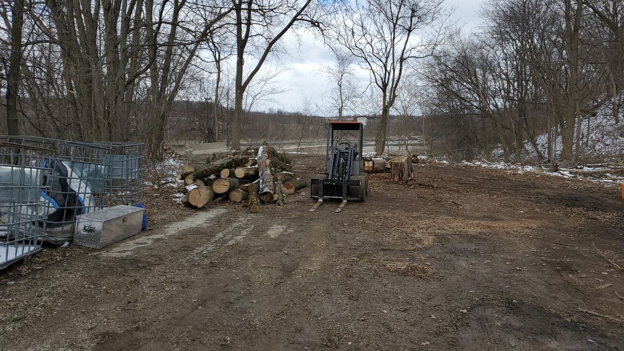 Tree Removal using Tree Removal by Mike Jones & Sons Tree Service LLC 