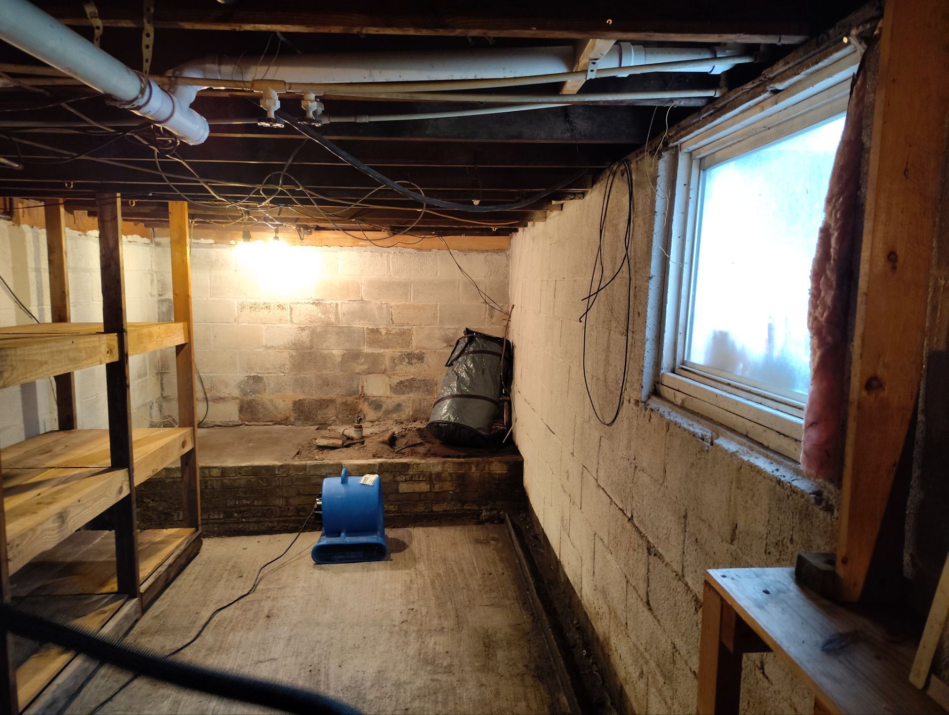Comprehensive Basement Mold Remediation and Moisture Control in New Cumberland by Home Environment Solutions