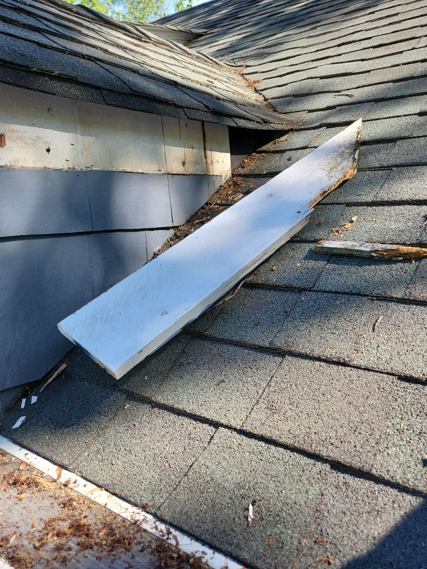 Exterior Painting and Cedar Shingle Siding Repair in Cedar Grove by Spectrum Painting, LLC