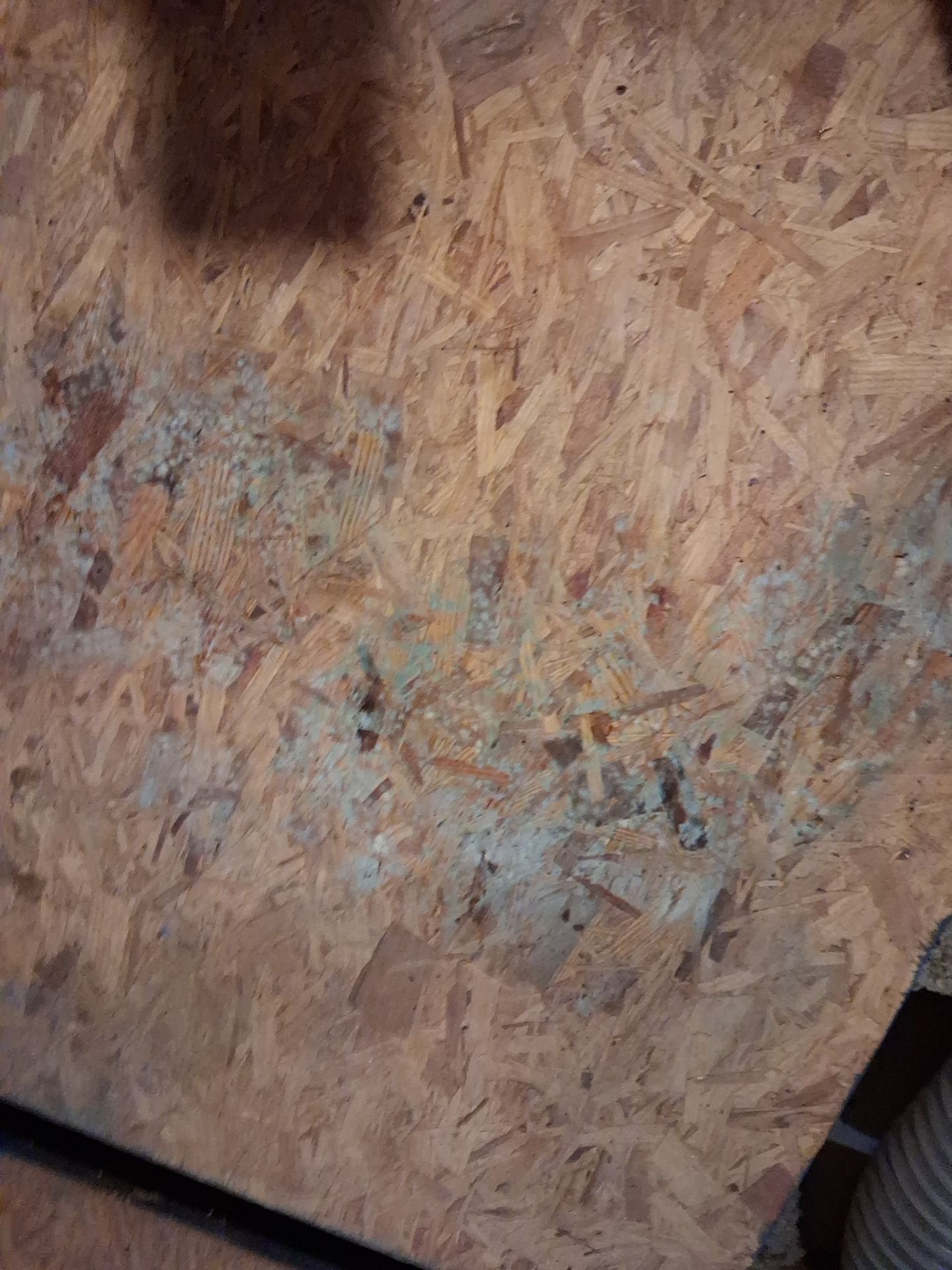 Attic Insulation and Repair by Toledo Basement Repair