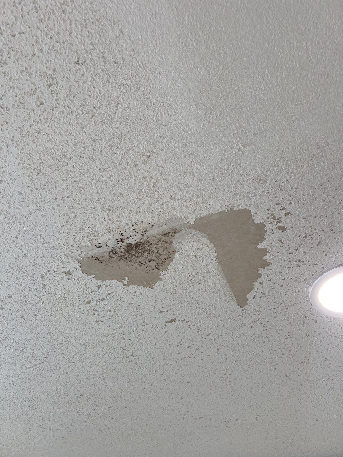 Residential - Virginia Beach by Rodriguez Drywall And Paint 