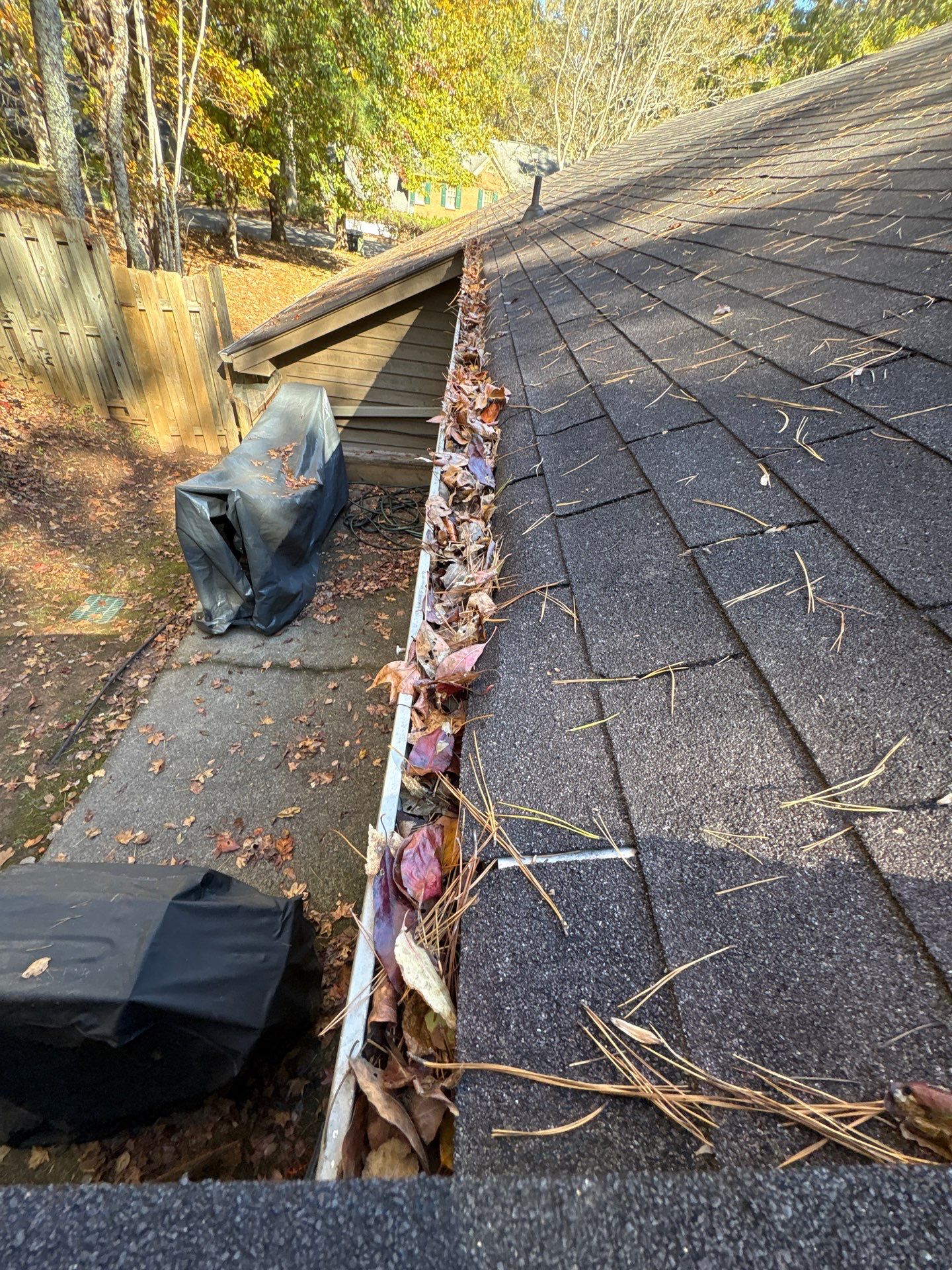 Leak-Free Roof & Skylight Removal š ⨠by Georgia Roof Advisors