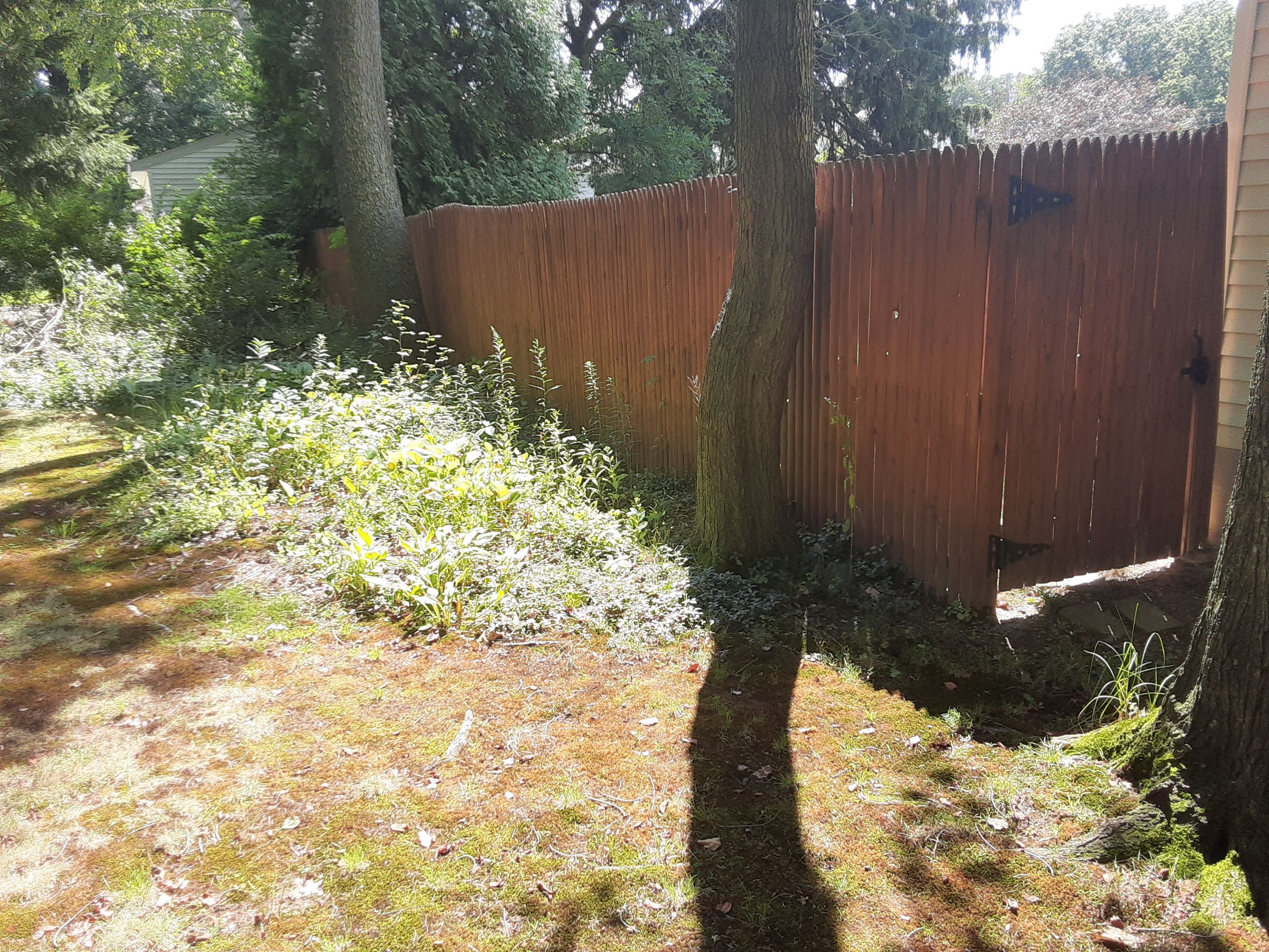 Tree Removal using Tree Removal by Mike Jones & Sons Tree Service LLC 