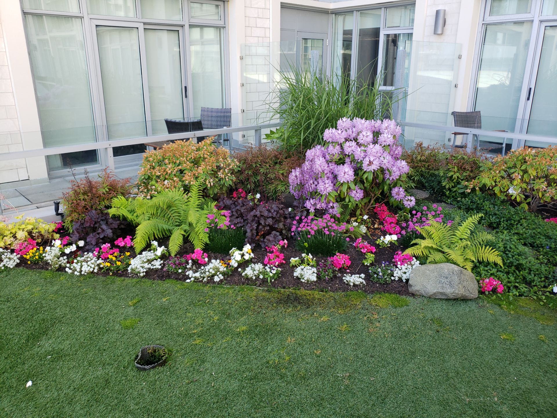 Sidney Pier by Habanero Garden and Exterior Care