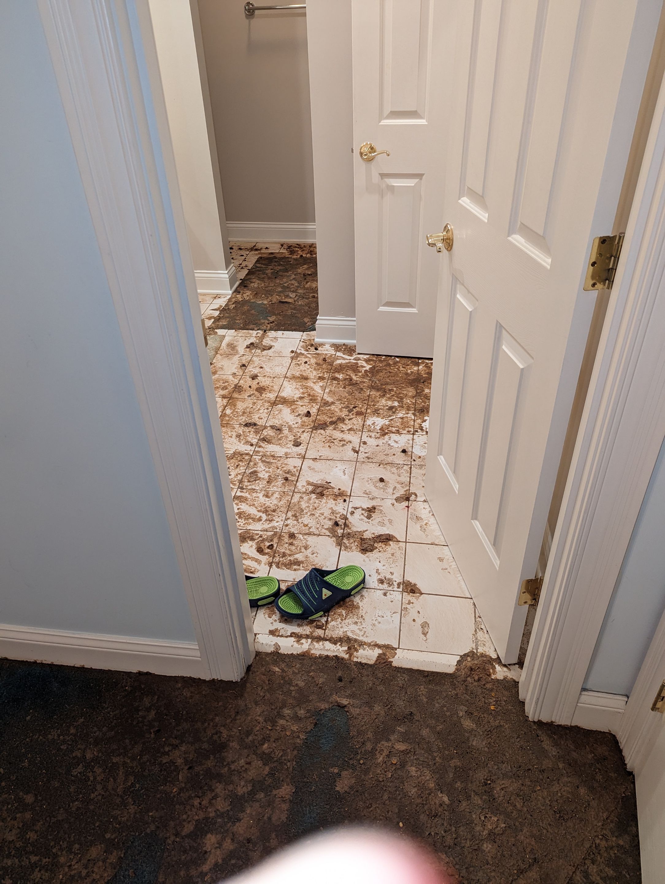 Sewage Backup Emergency Service in Louisville, KY  by ANR Restoration