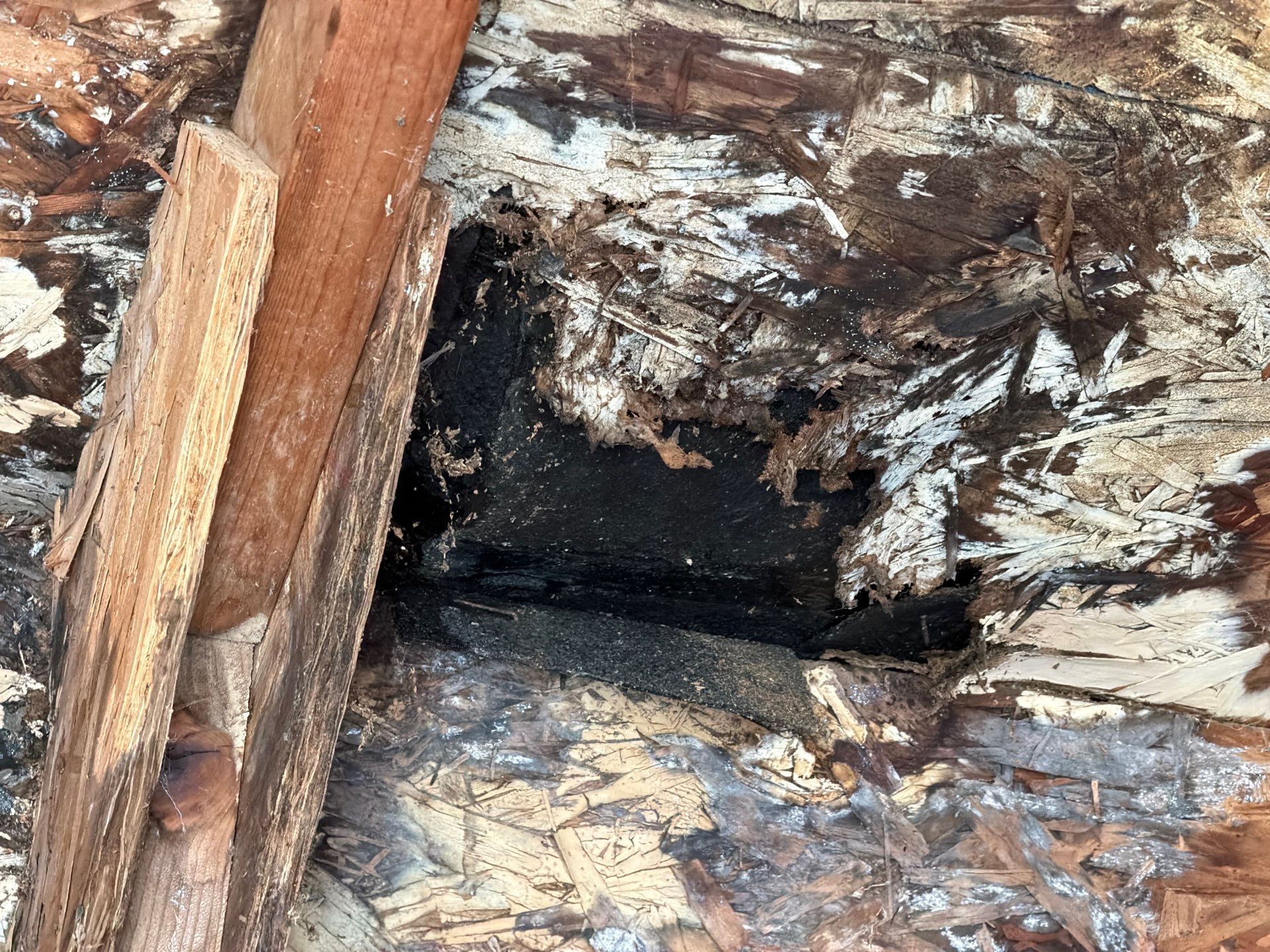 Water Damage Claim in Huntingdon Valley by FLAPA & KeyStone
