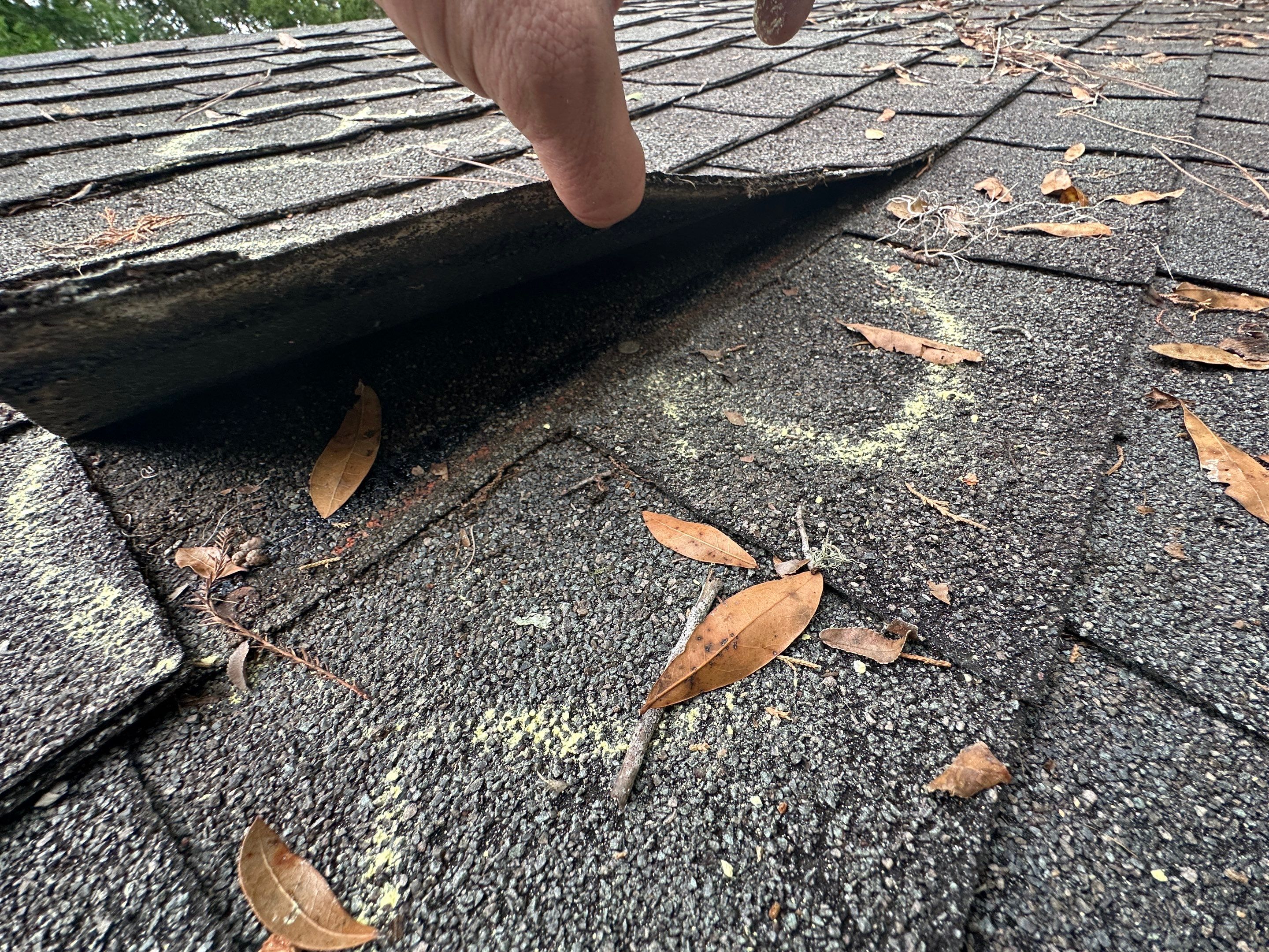Roof Damage Claim in Pinetta by FLAPA & KeyStone