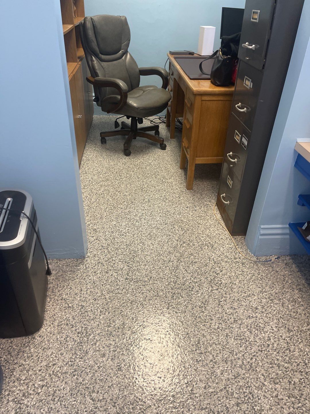 Cat Hospital Project in Pittsburgh by Floors in a Day, Inc