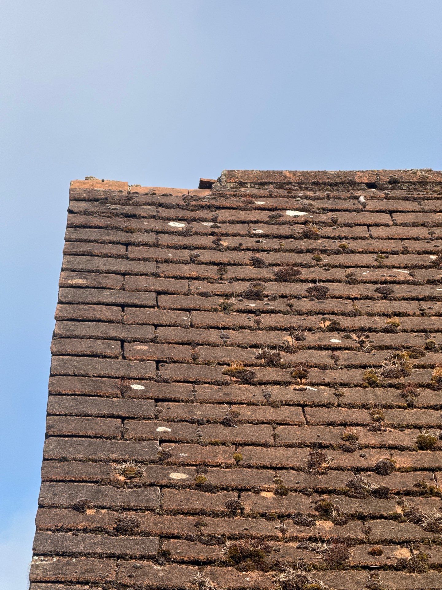 Roof Clean  - Moss Removal - Gutter Clean using Honda 15lpm Low Pressure Washing Machine by Ges Exterior Cleaning ltd