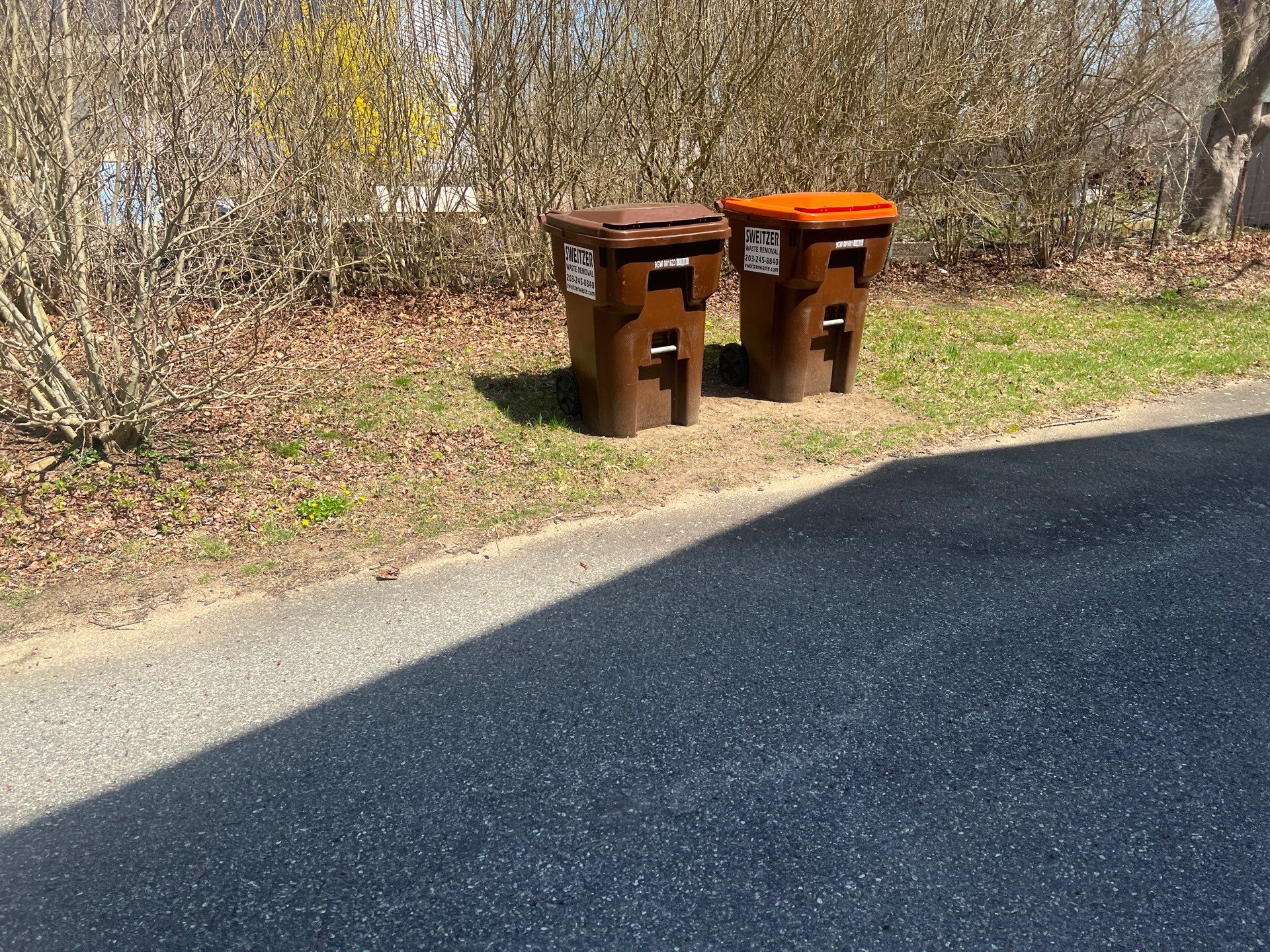 Comprehensive Spring Cleanup and Debris Removal in Clinton by Diamond Image LLC