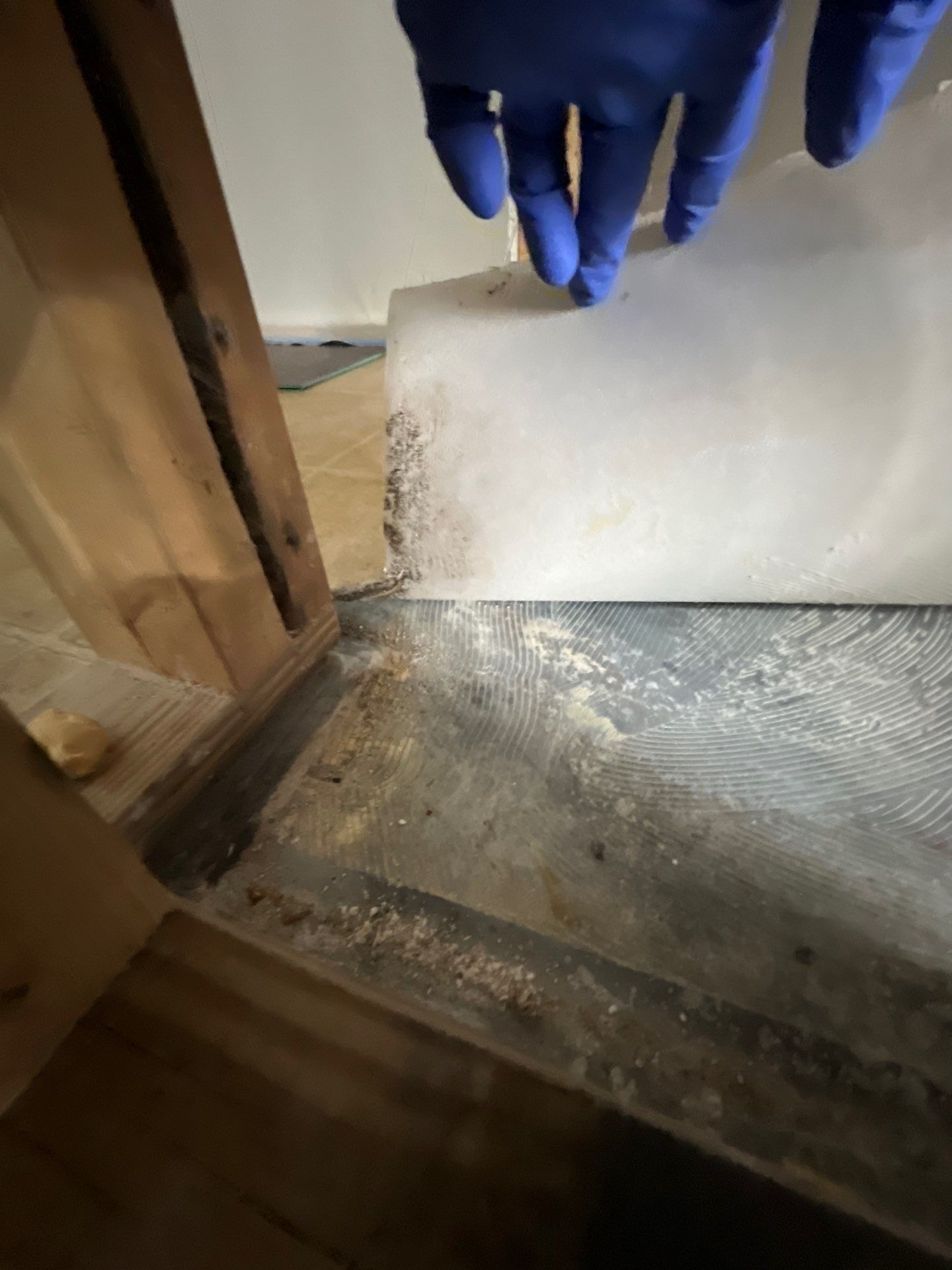 Stansell - water and mold photos  by THE RAPID TEAM