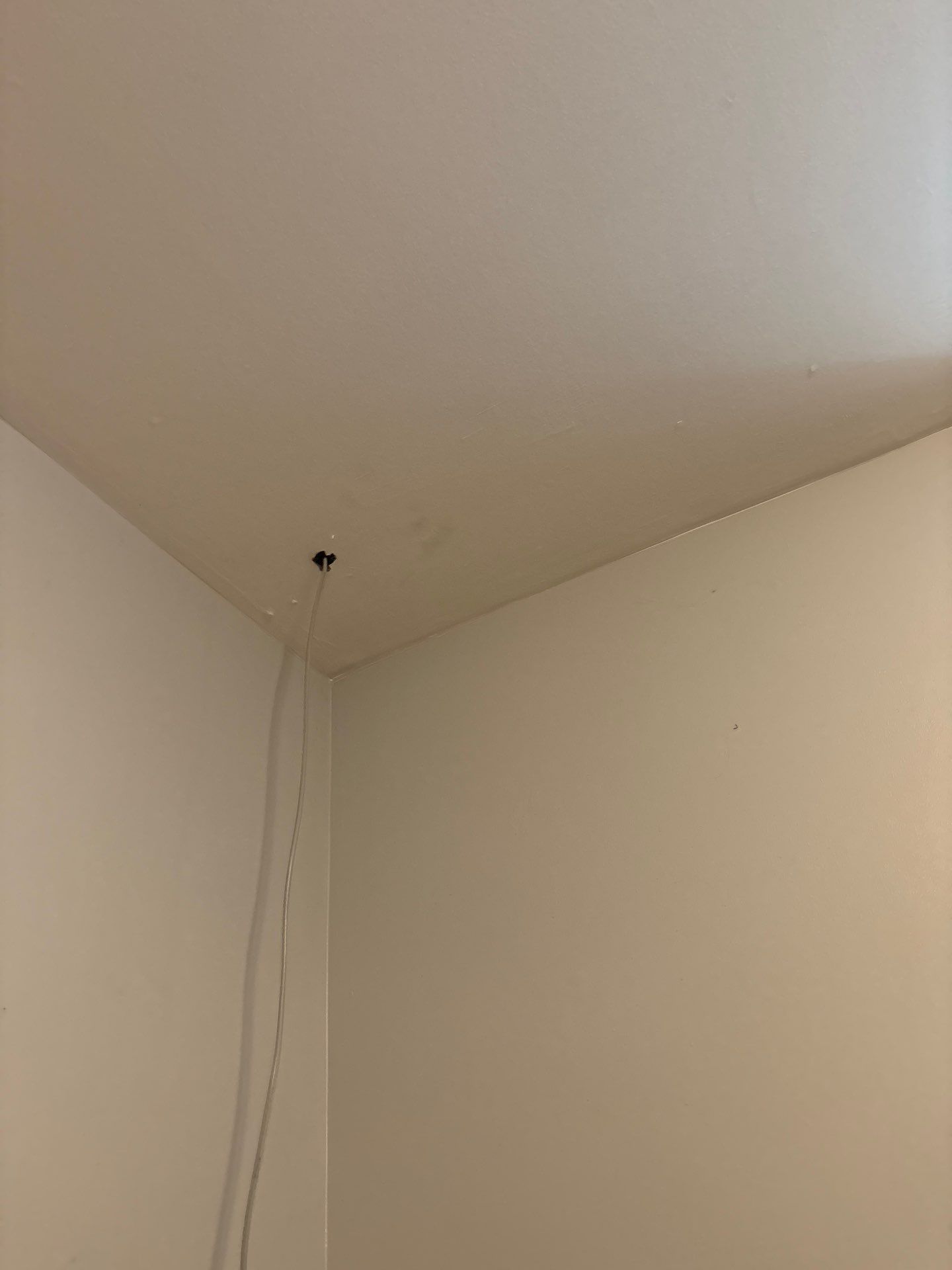 Interior Renovation Featuring New Lighting and Electrical Updates in Denver by CompanyCam Sales Demo