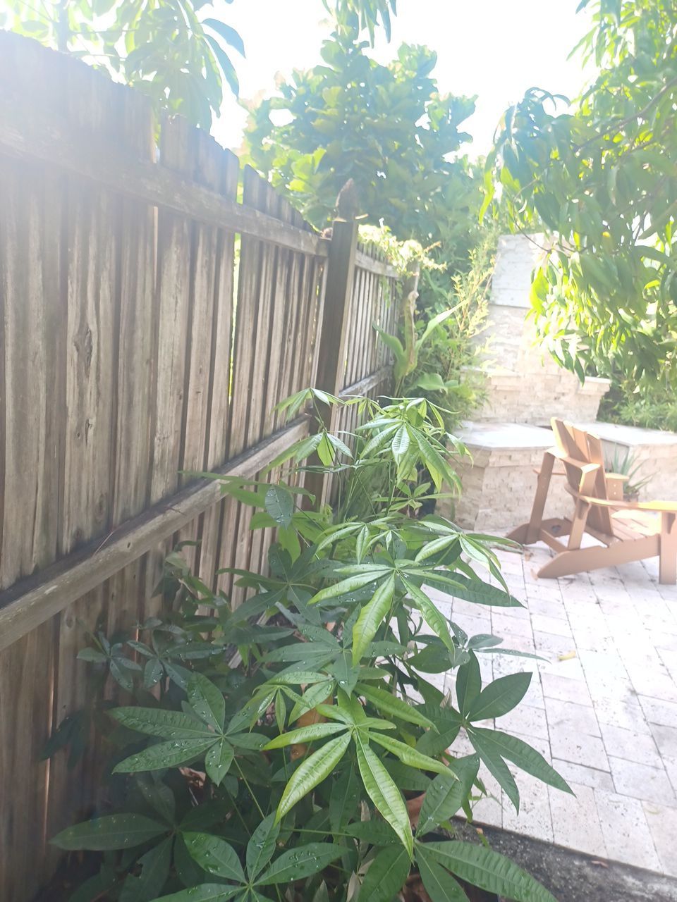 Sarasota, FL 6ft. Tall Treated Board on Board Wood Fence by Asap fence and gates, LLC