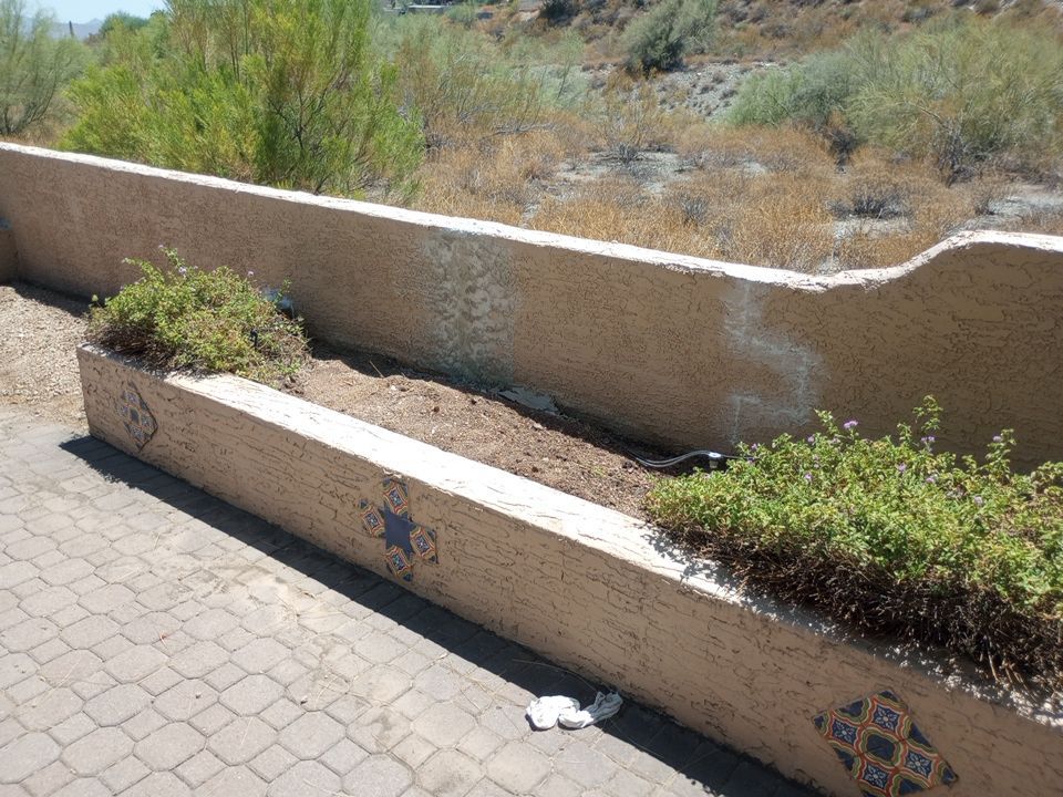 Exterior Painting Job in Fountain Hills by Crash of Rhinos Painting & Garage Floors