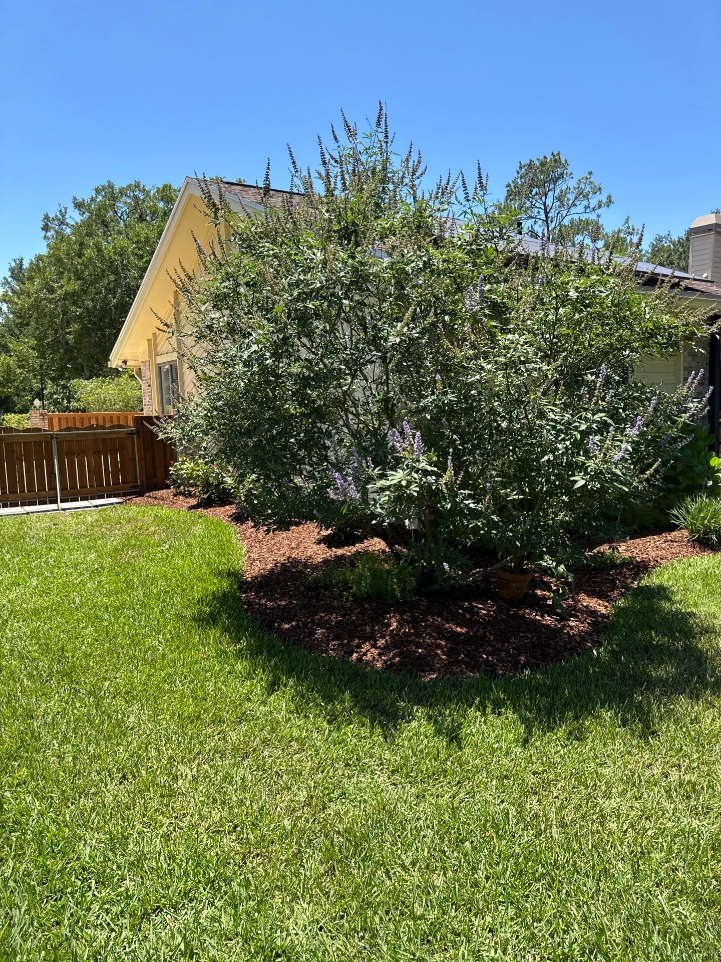 Deerwood Resident | Pine Bark Install & Clean-Up by ProGreen Services