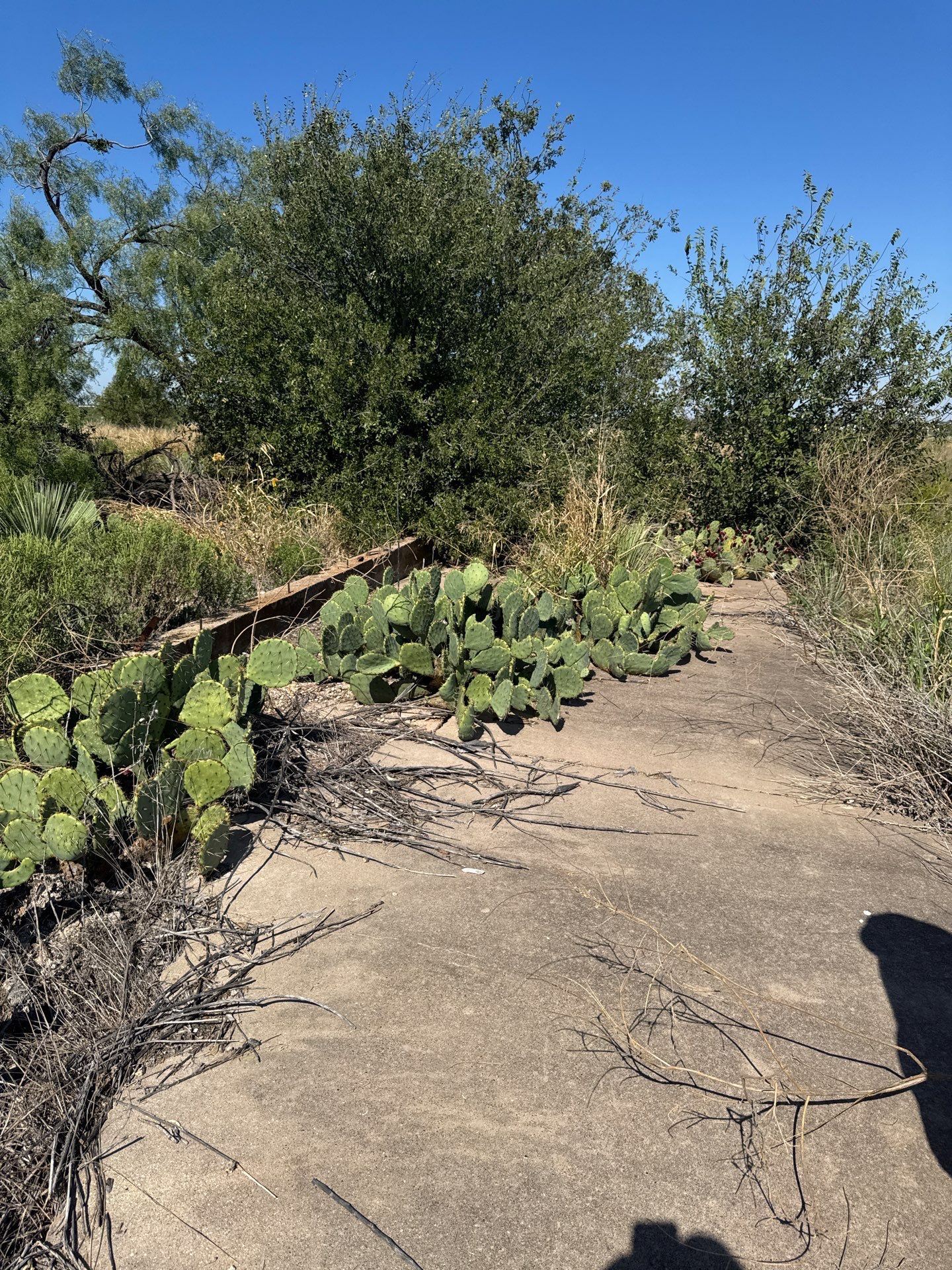 Project in Dyess by FILLMORE CONTRACTS LLC