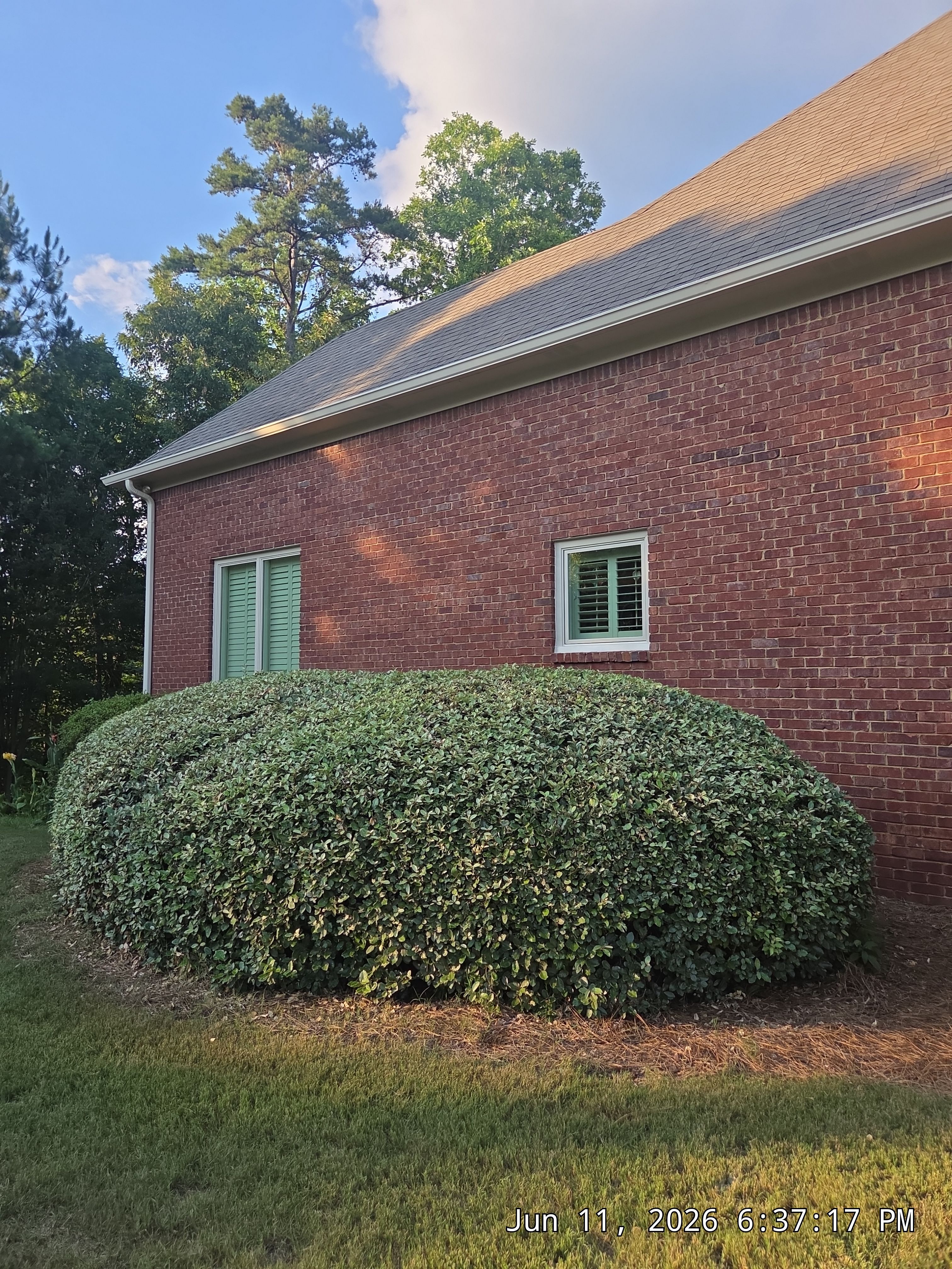Zwiebel Project in Hoover by The Window Source
