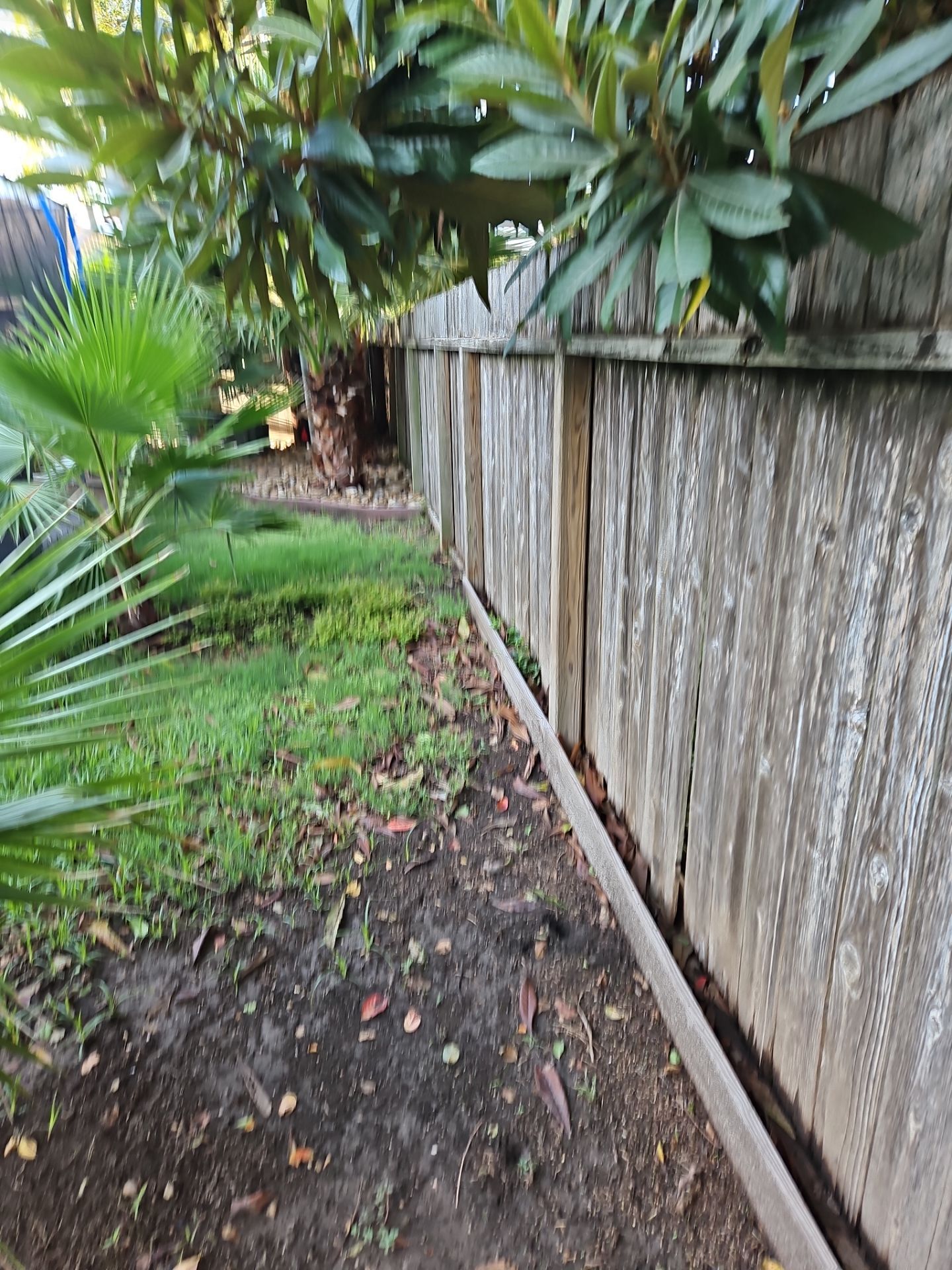 Poolside Perfection by Tim's Fences