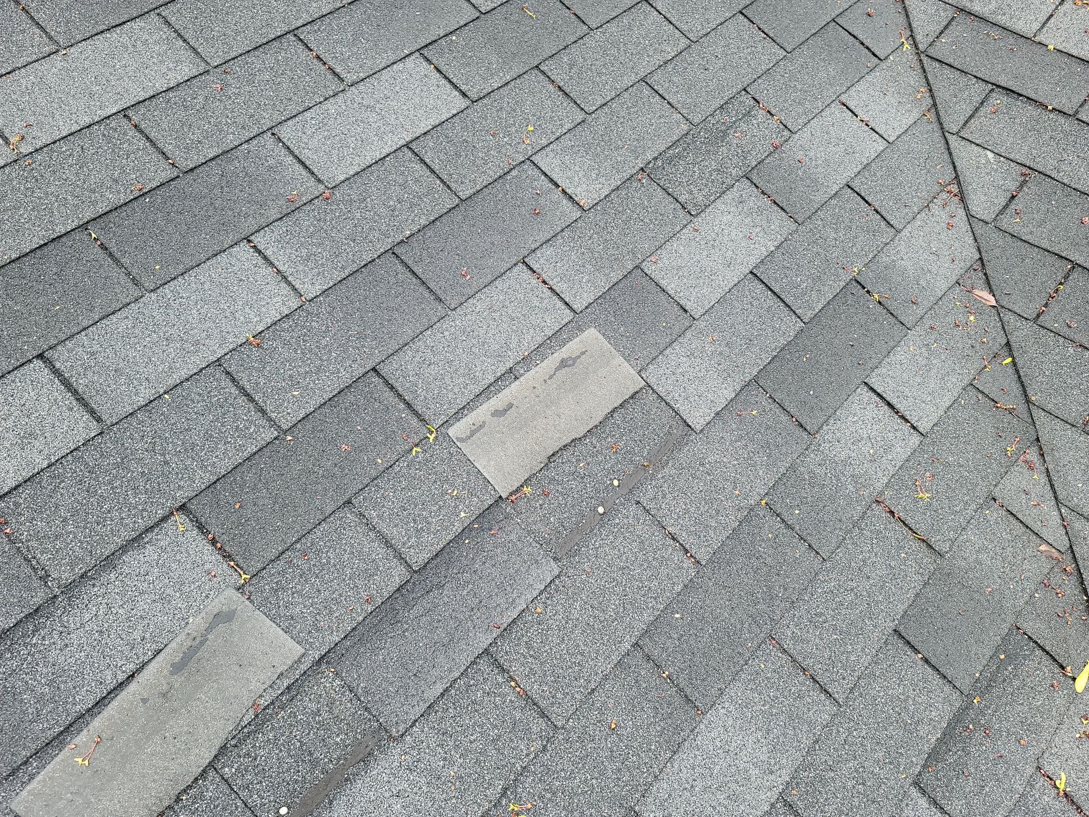 Atlas Pinnacle, Color: Pewter, Drip Edge: White by Eagle Eye Roofing