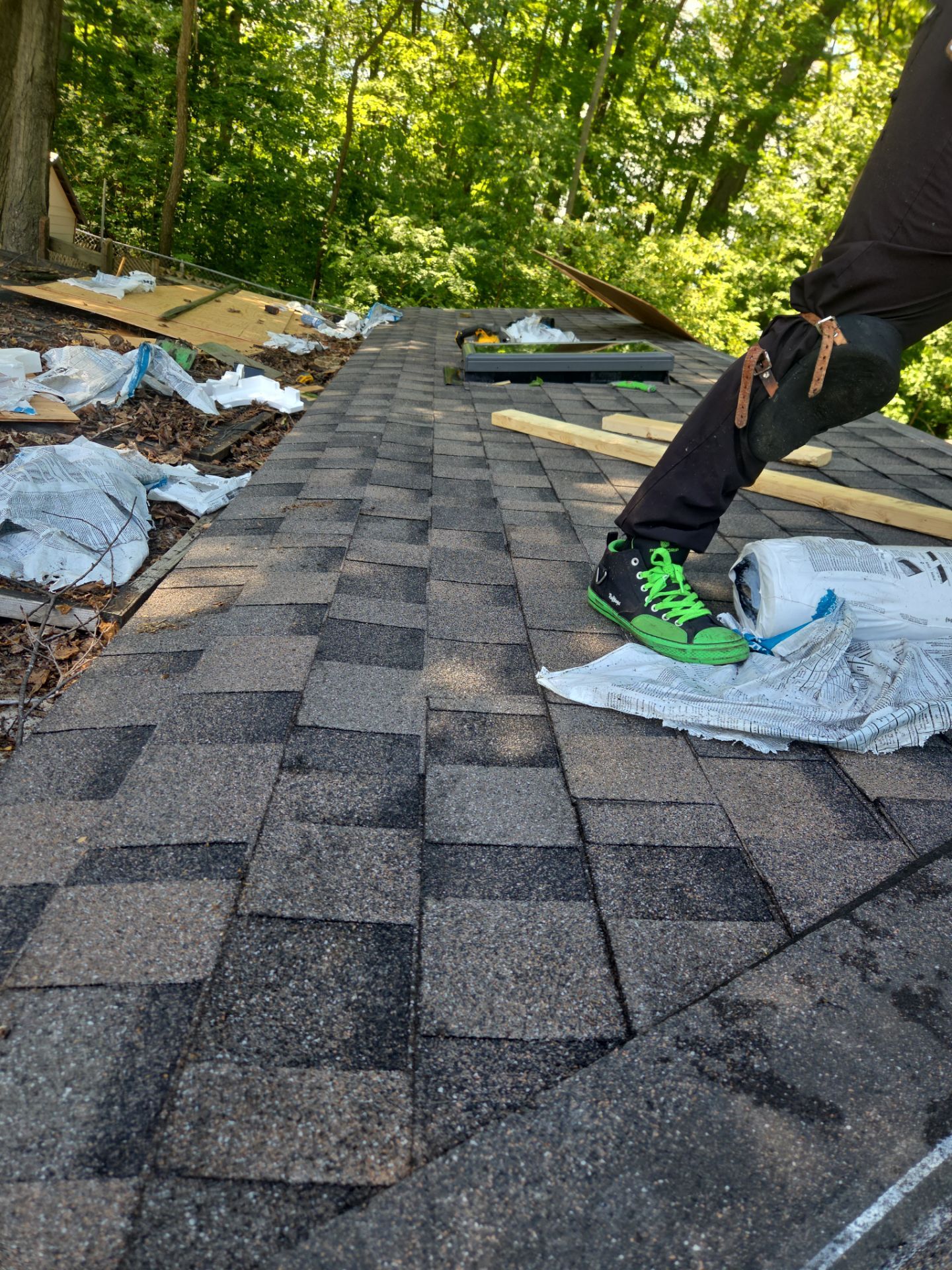 Residential Roof Replacement Featuring IKO Dynasty Shingles and Velux Skylights - Georgina by Elsa Roofing