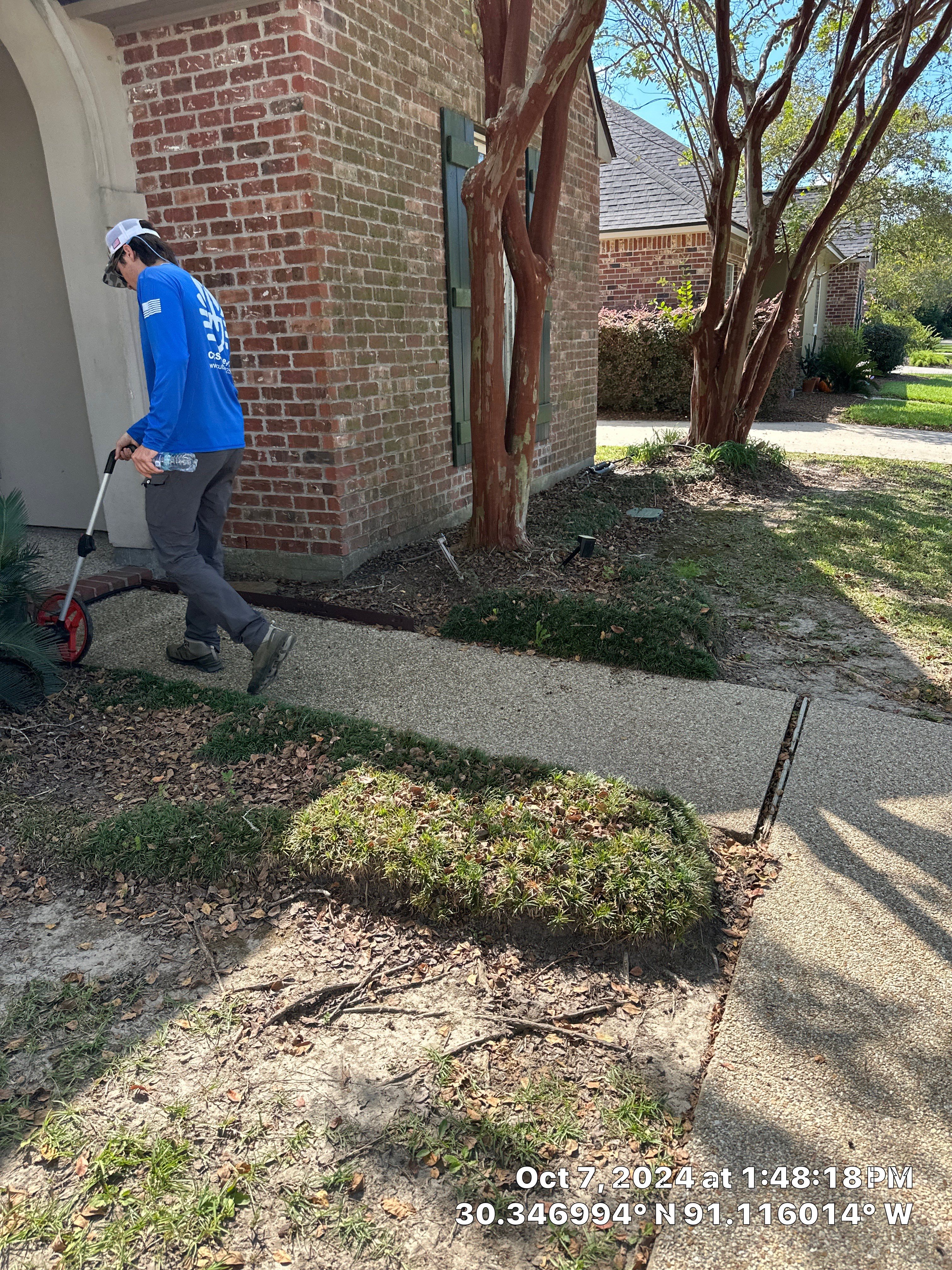 HOLIDAY LIGHTING using ROOFLINE PERIMETER LIGHTING: HALLOWEEN THEME WITH ORANGE AND PURPLE BULBS by CutScape, LLC.