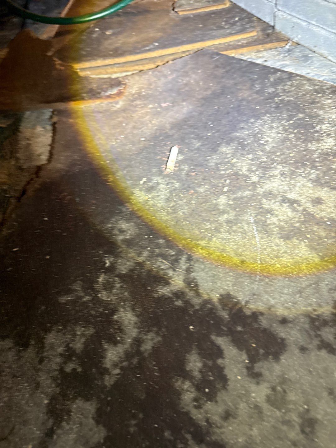 Bathroom and Crawlspace Water Damage and Mold by Healthy Home Solutions